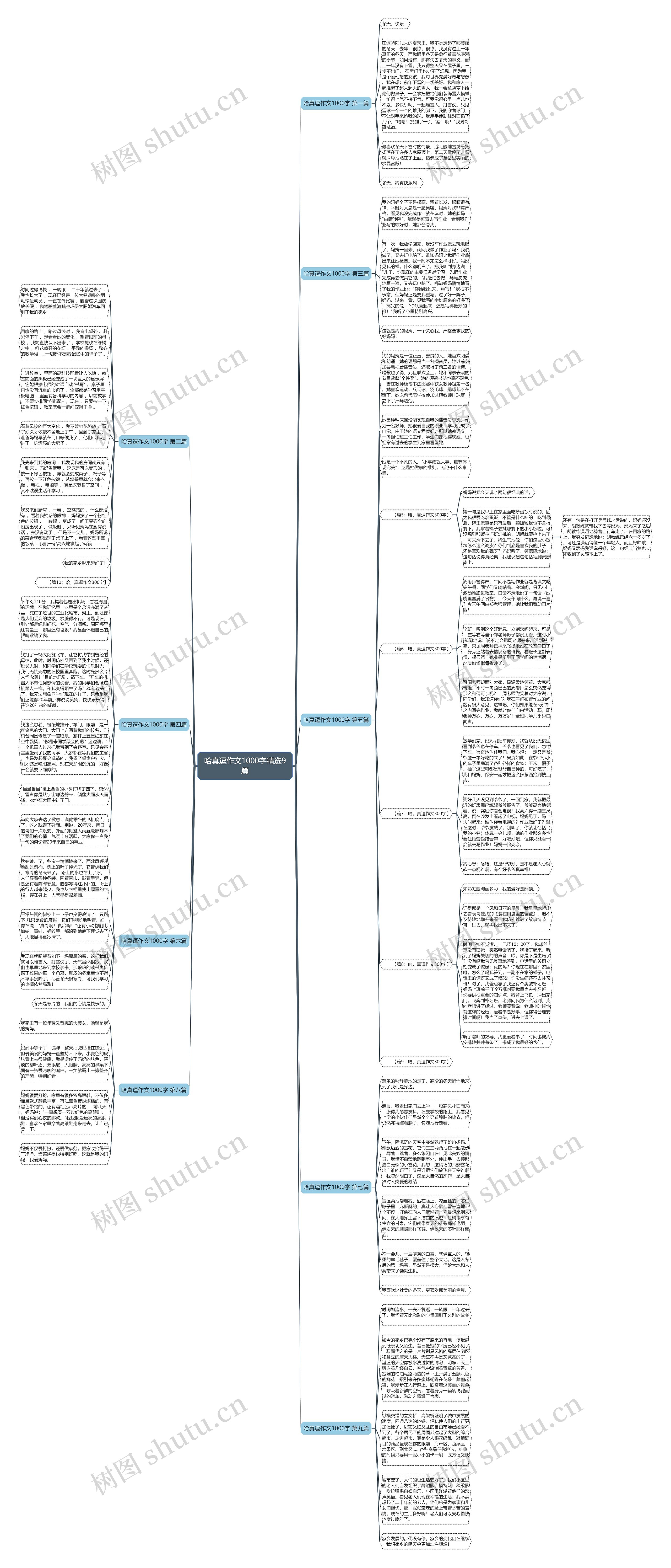 哈真逗作文1000字精选9篇思维导图