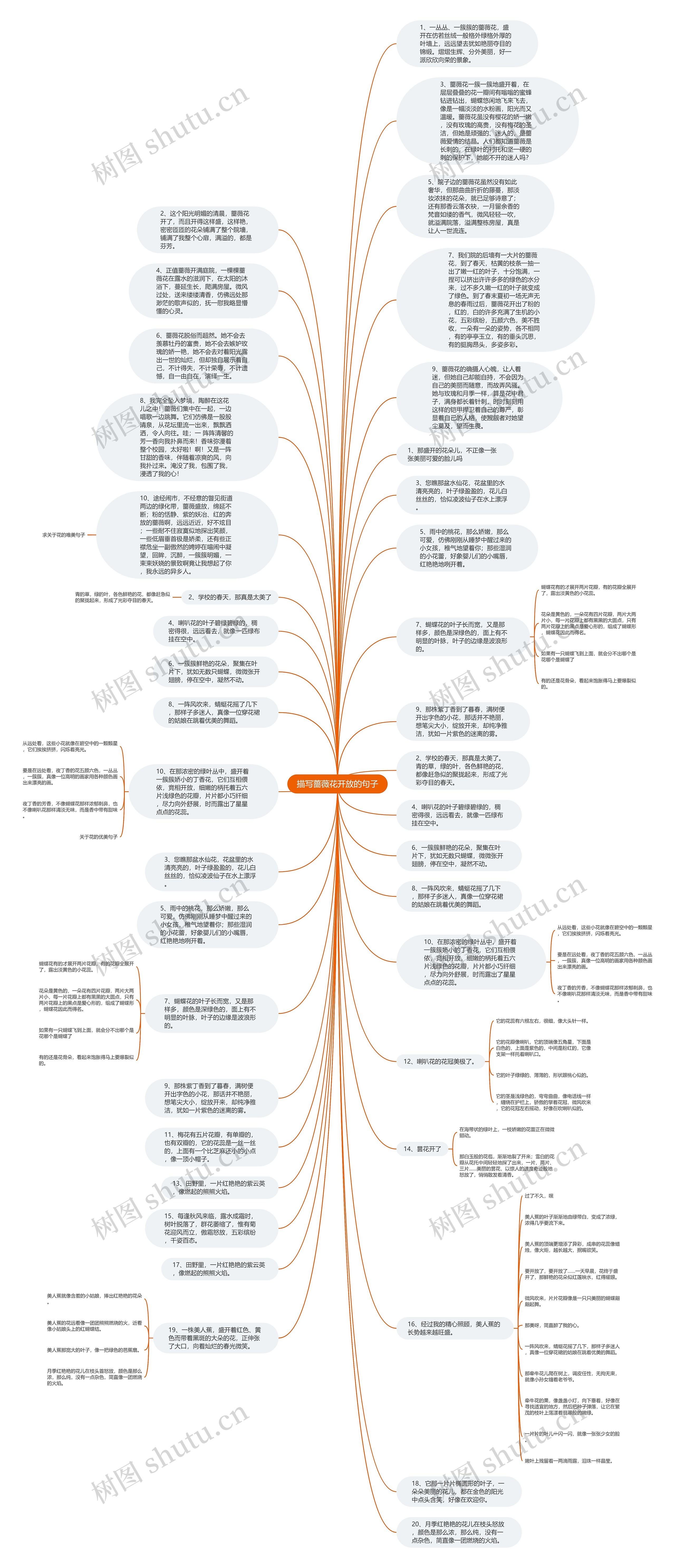 描写蔷薇花开放的句子思维导图