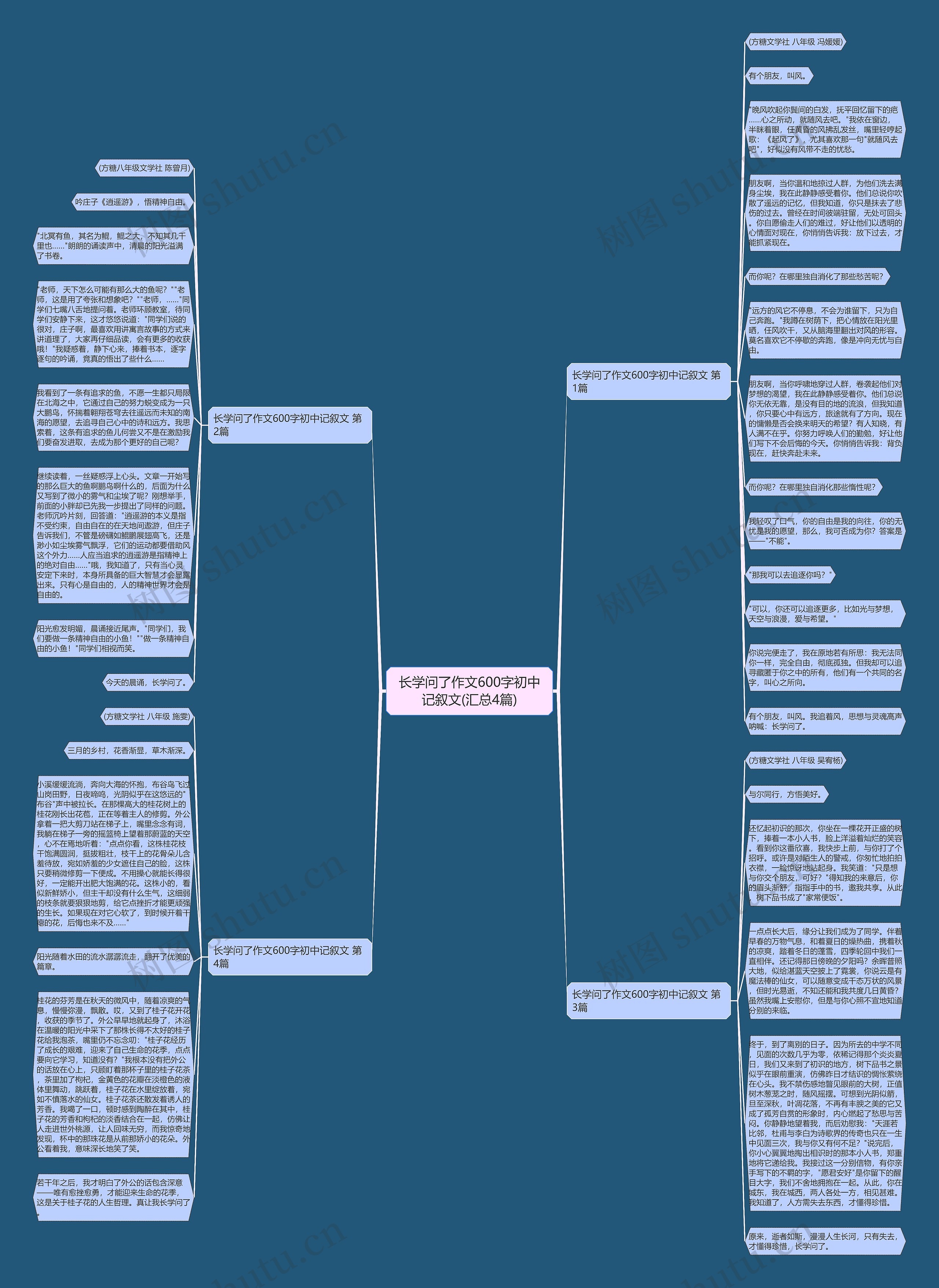 长学问了作文600字初中记叙文(汇总4篇)思维导图