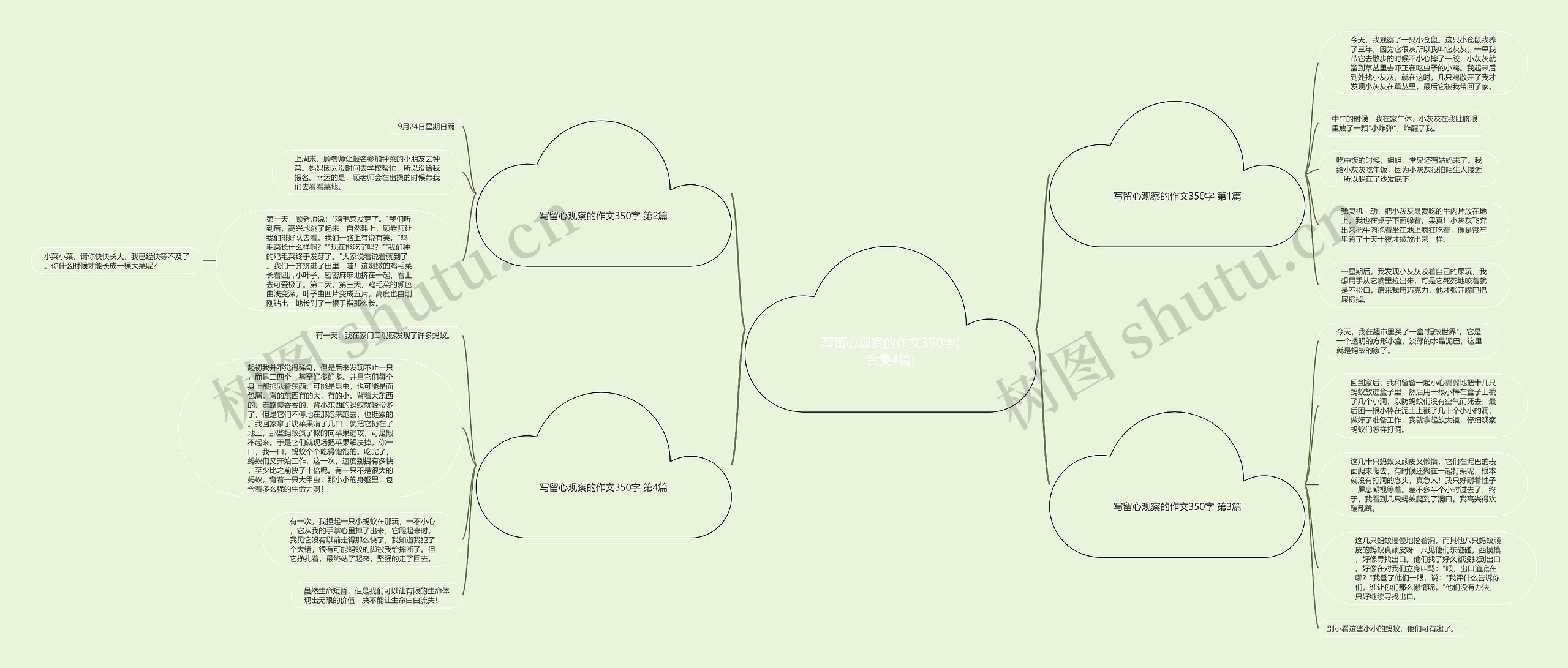 写留心观察的作文350字(合集4篇)思维导图