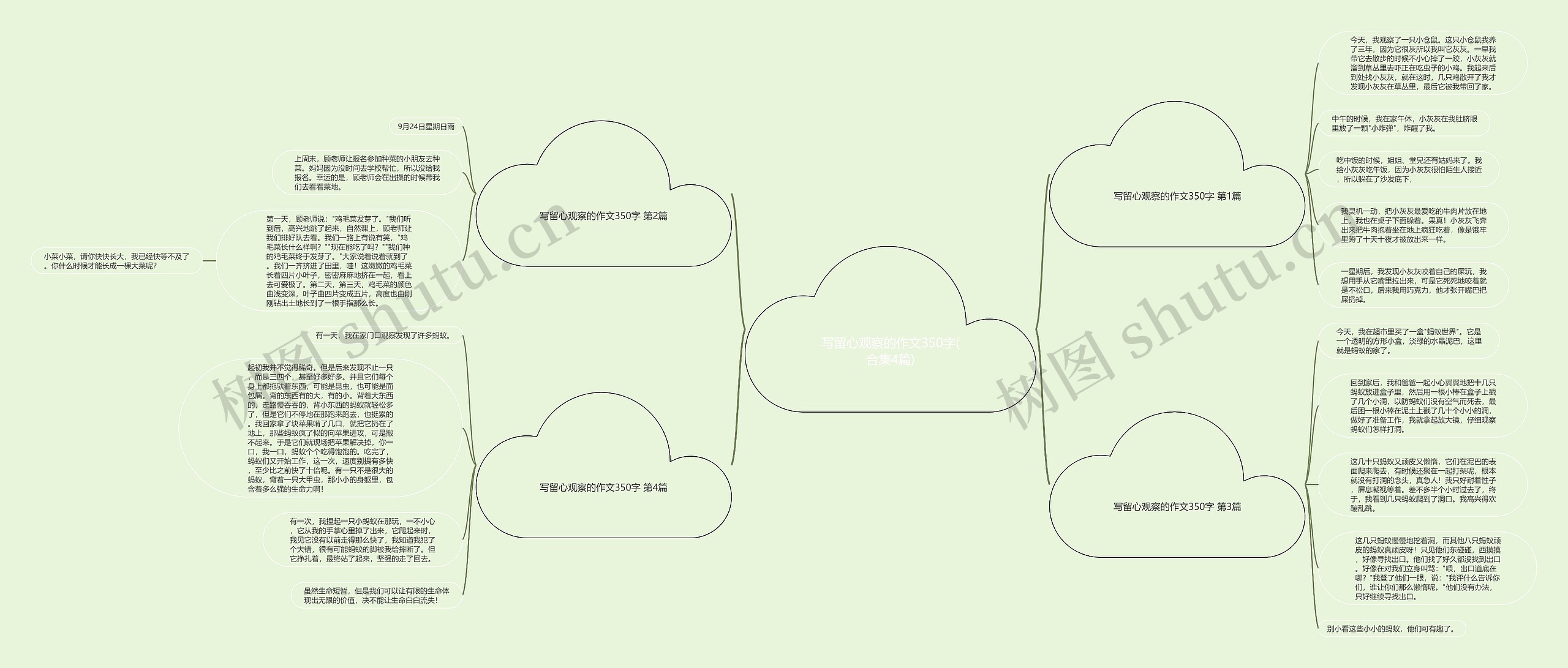 写留心观察的作文350字(合集4篇) 写留心观察的作文350字(合集4篇)