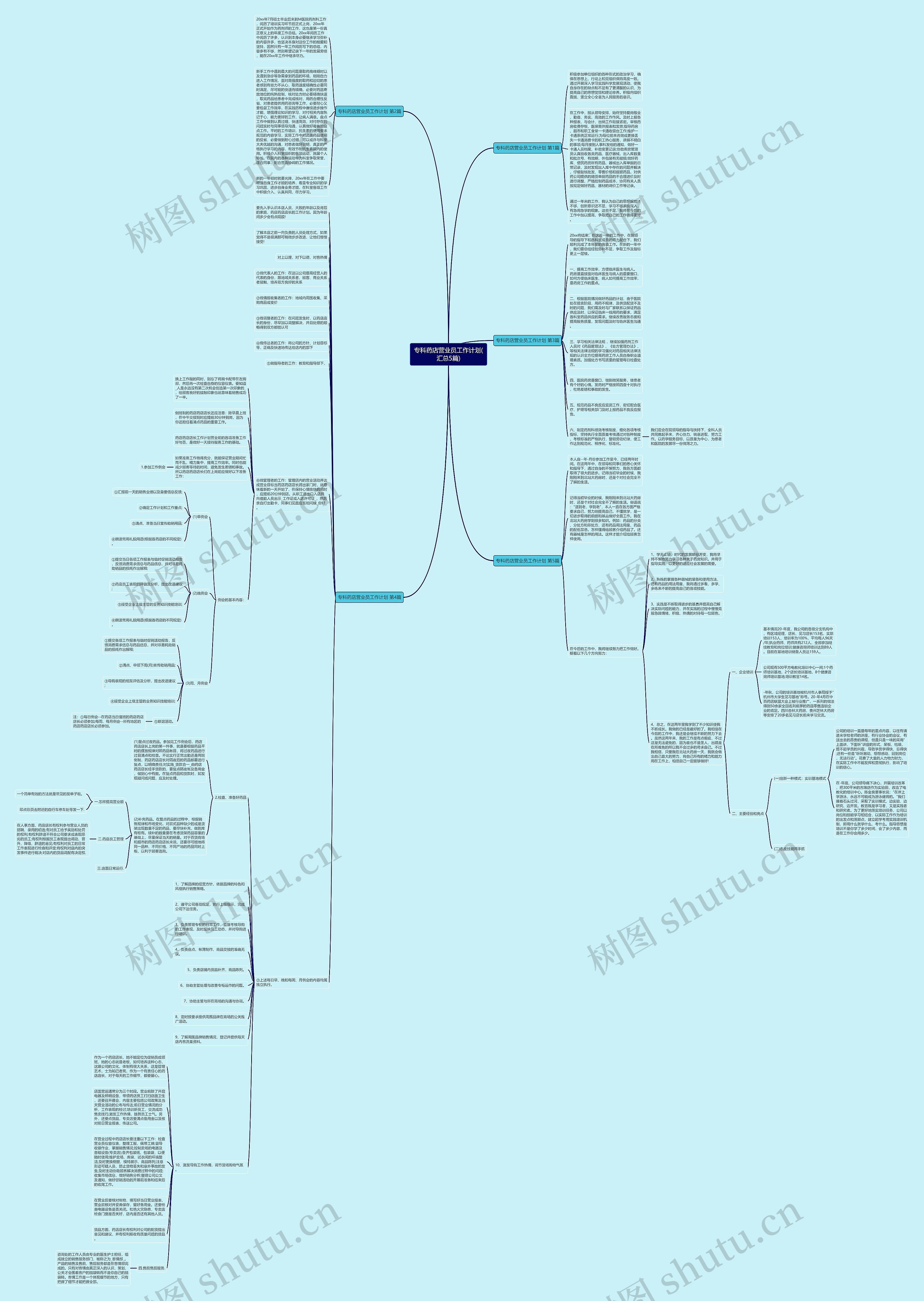 专科药店营业员工作计划(汇总5篇)思维导图