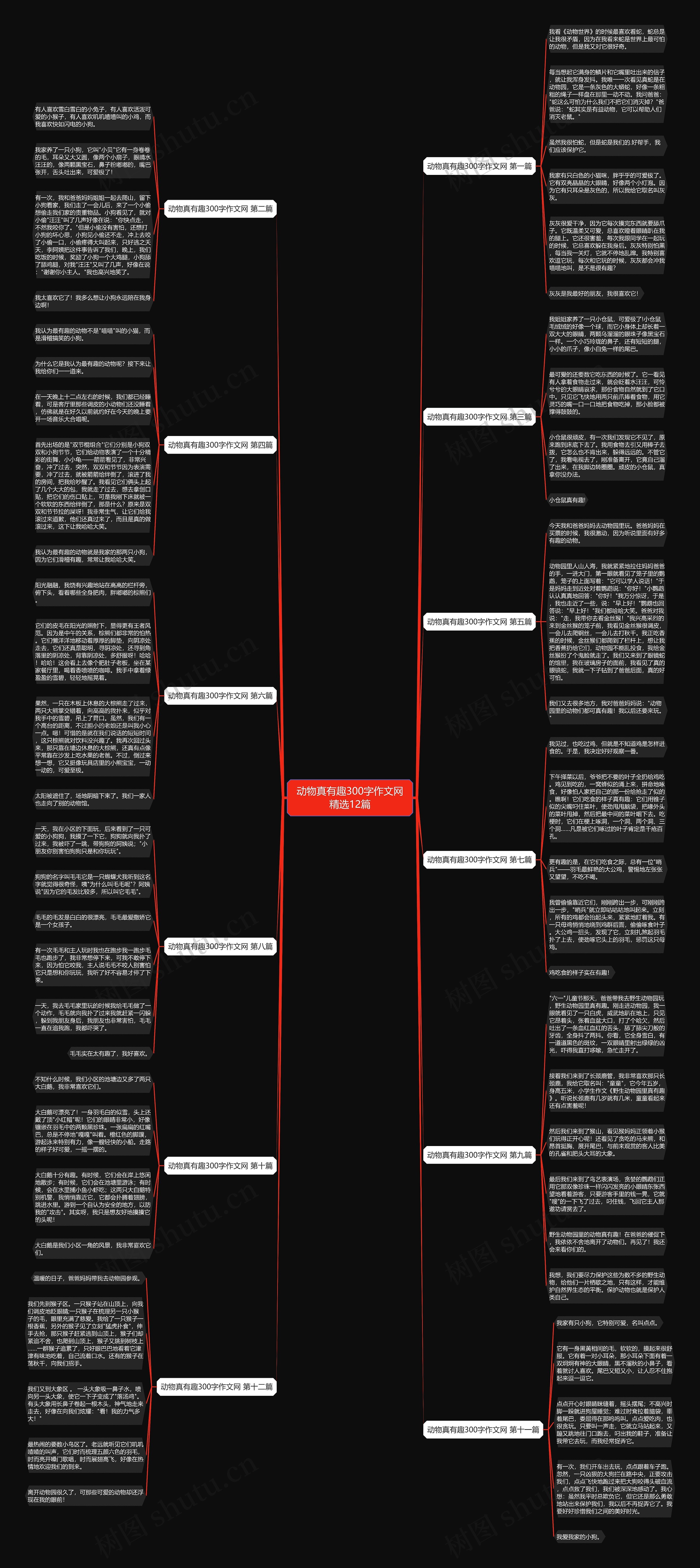 动物真有趣300字作文网精选12篇