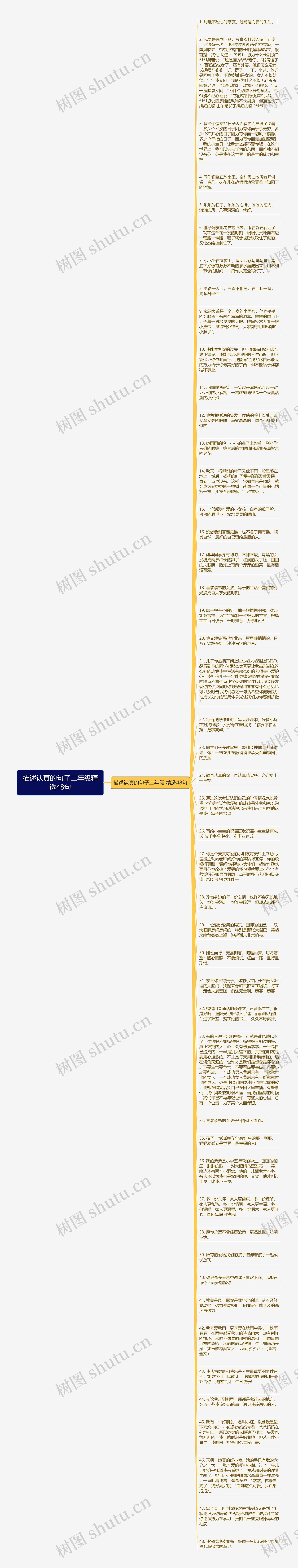 描述认真的句子二年级精选48句思维导图