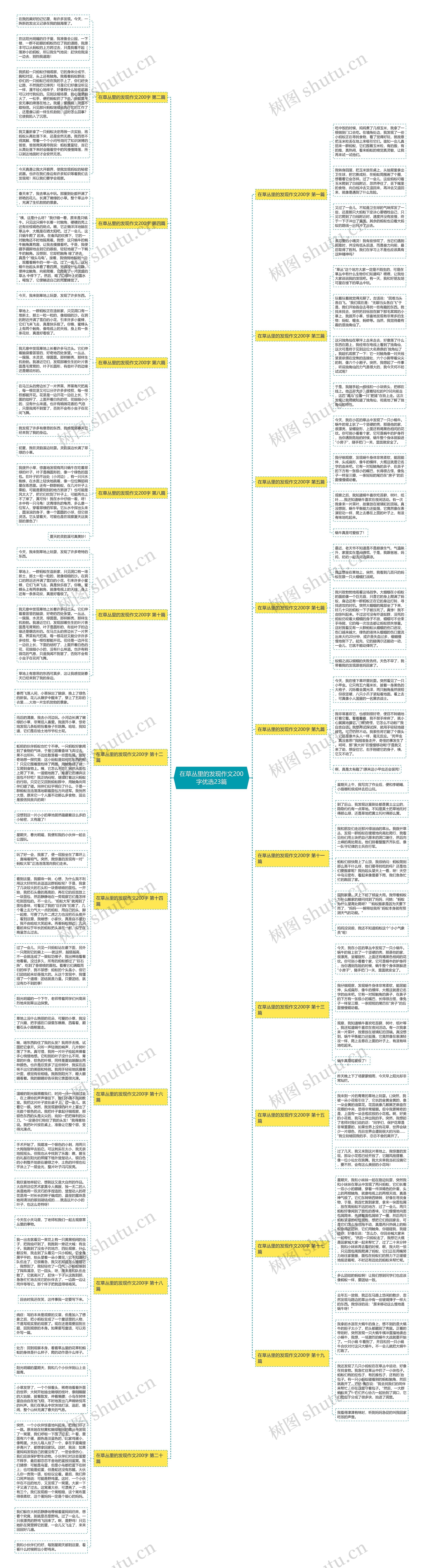 在草丛里的发现作文200字优选23篇思维导图高清图 在草丛里的发现作文200字优选23篇思维导图