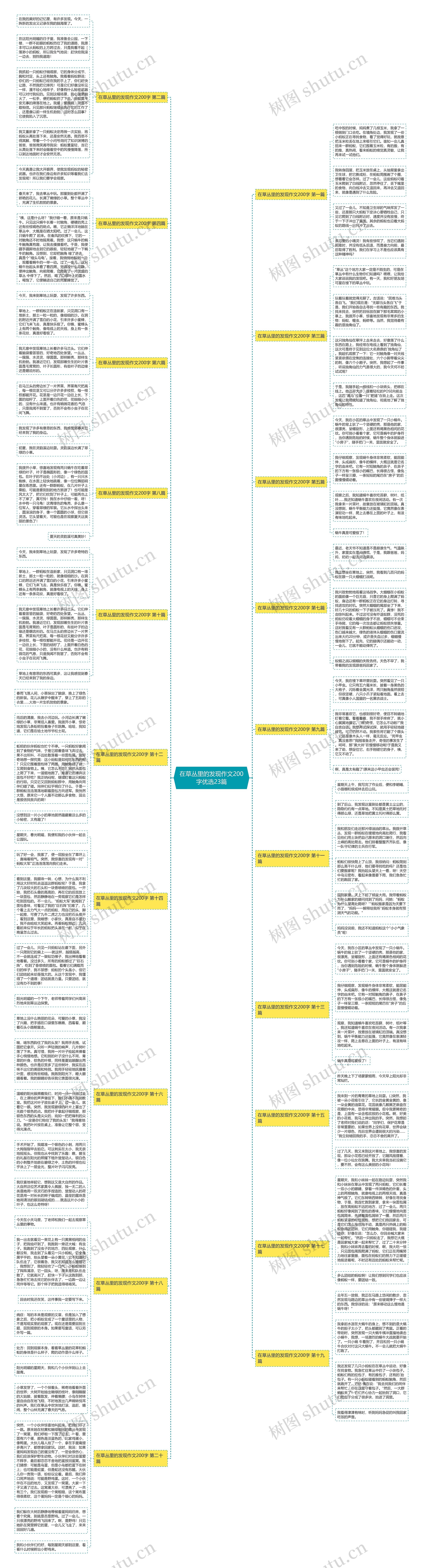 在草丛里的发现作文200字优选23篇思维导图