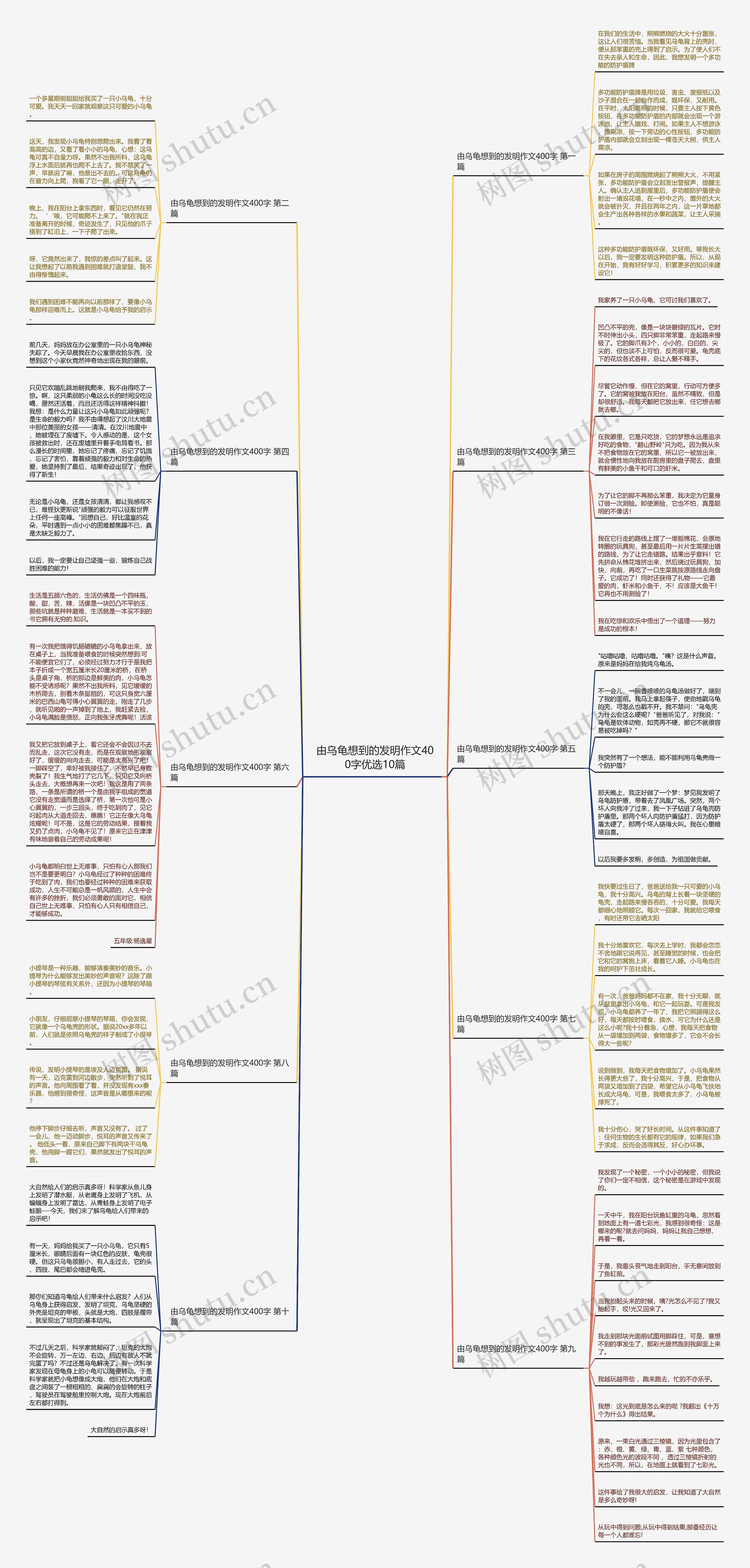 由乌龟想到的发明作文400字优选10篇 由乌龟想到的发明作文400字优选10篇