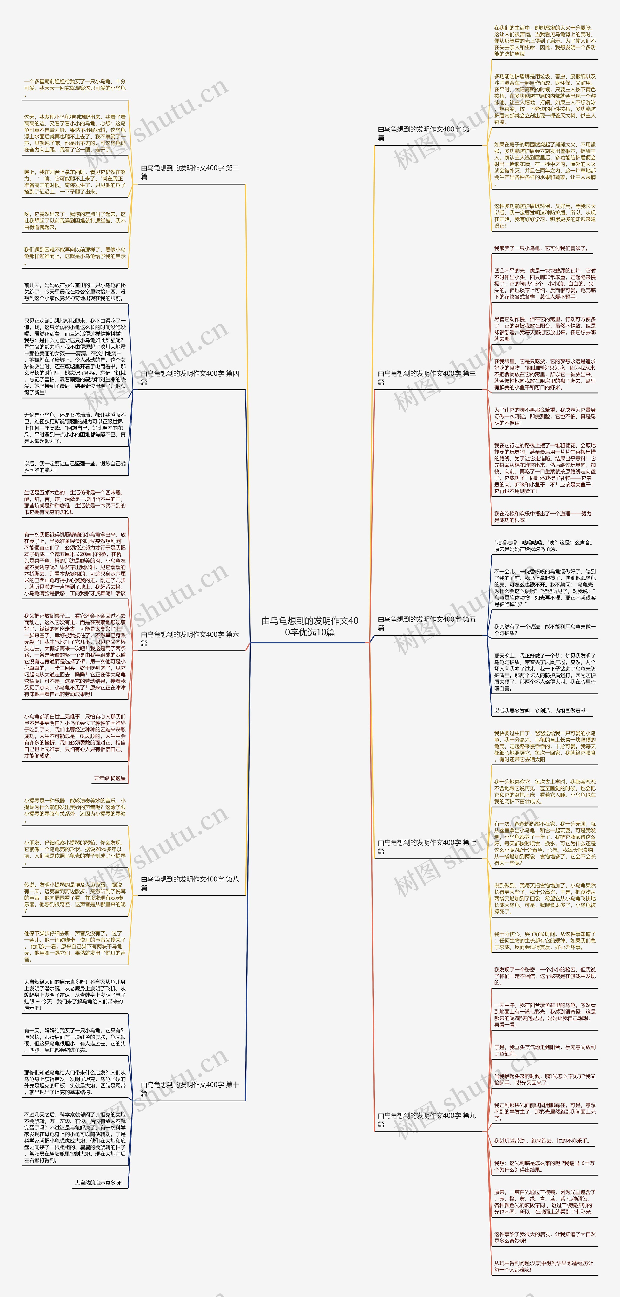 由乌龟想到的发明作文400字优选10篇思维导图