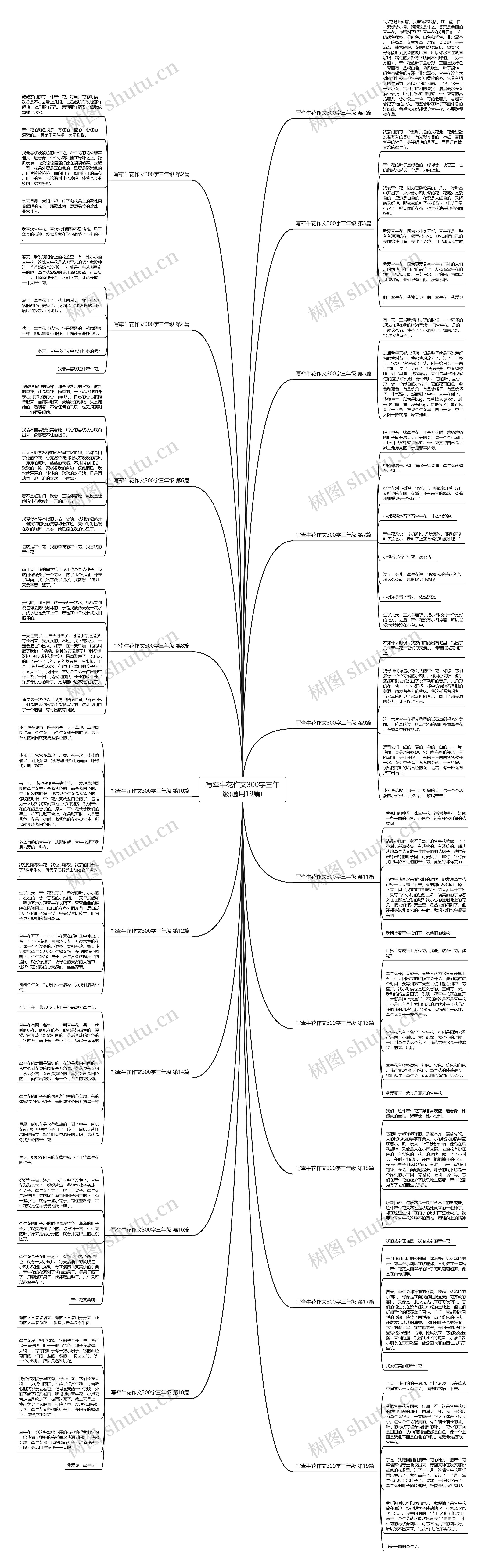 写牵牛花作文300字三年级(通用19篇)思维导图