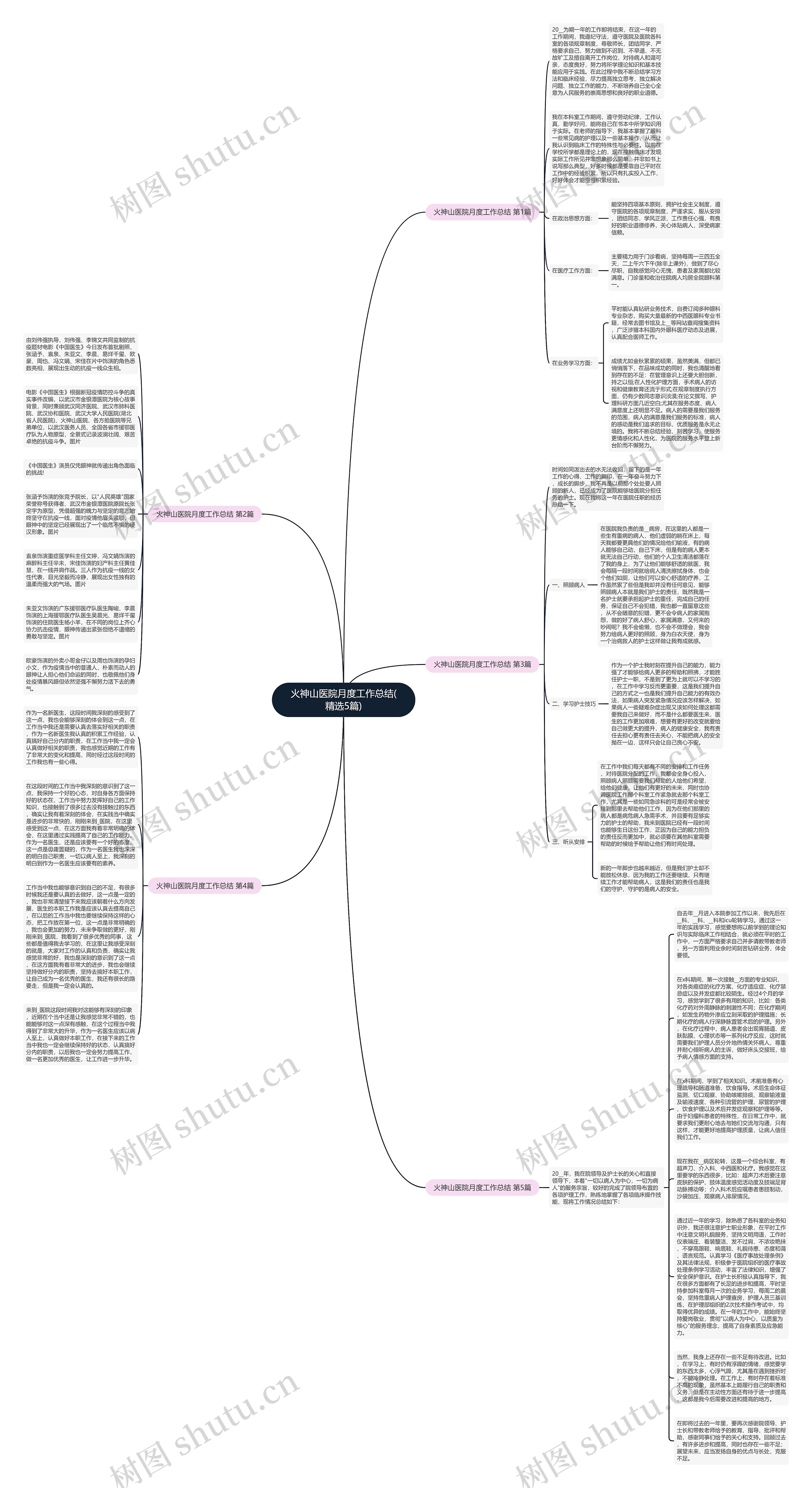 火神山医院月度工作总结(精选5篇)思维导图