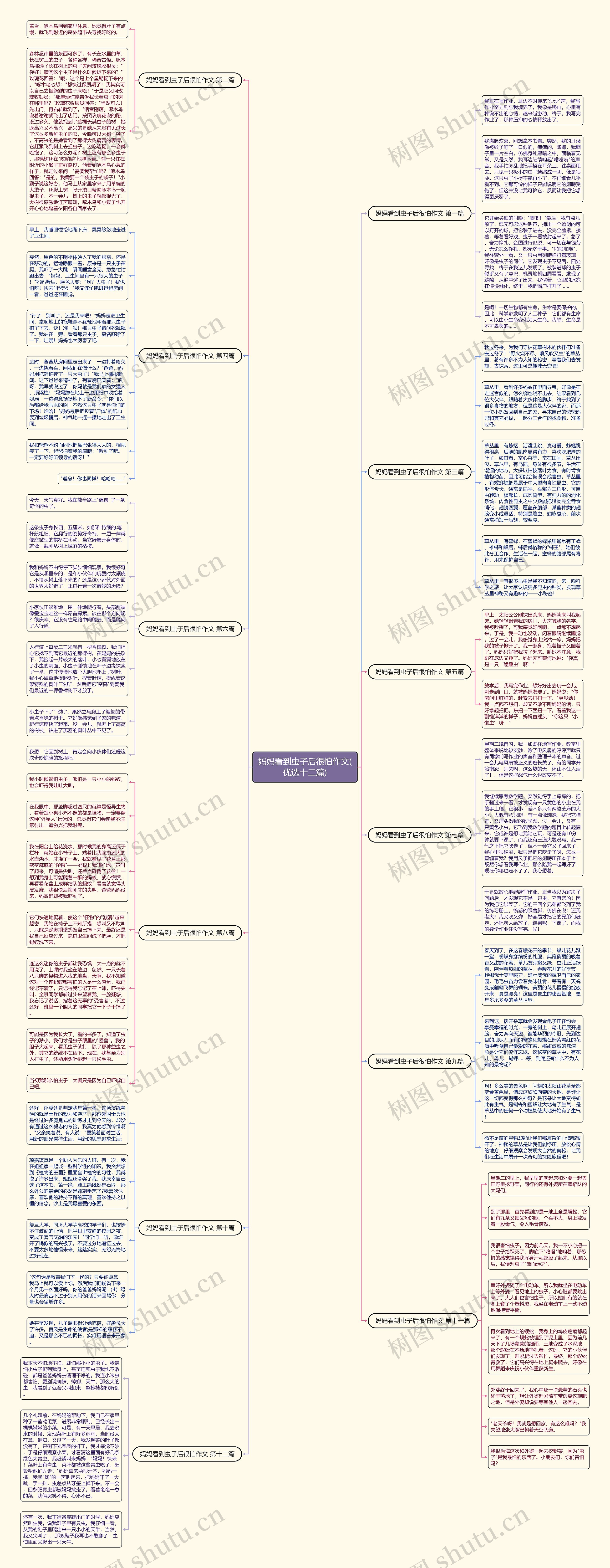 妈妈看到虫子后很怕作文(优选十二篇)思维导图