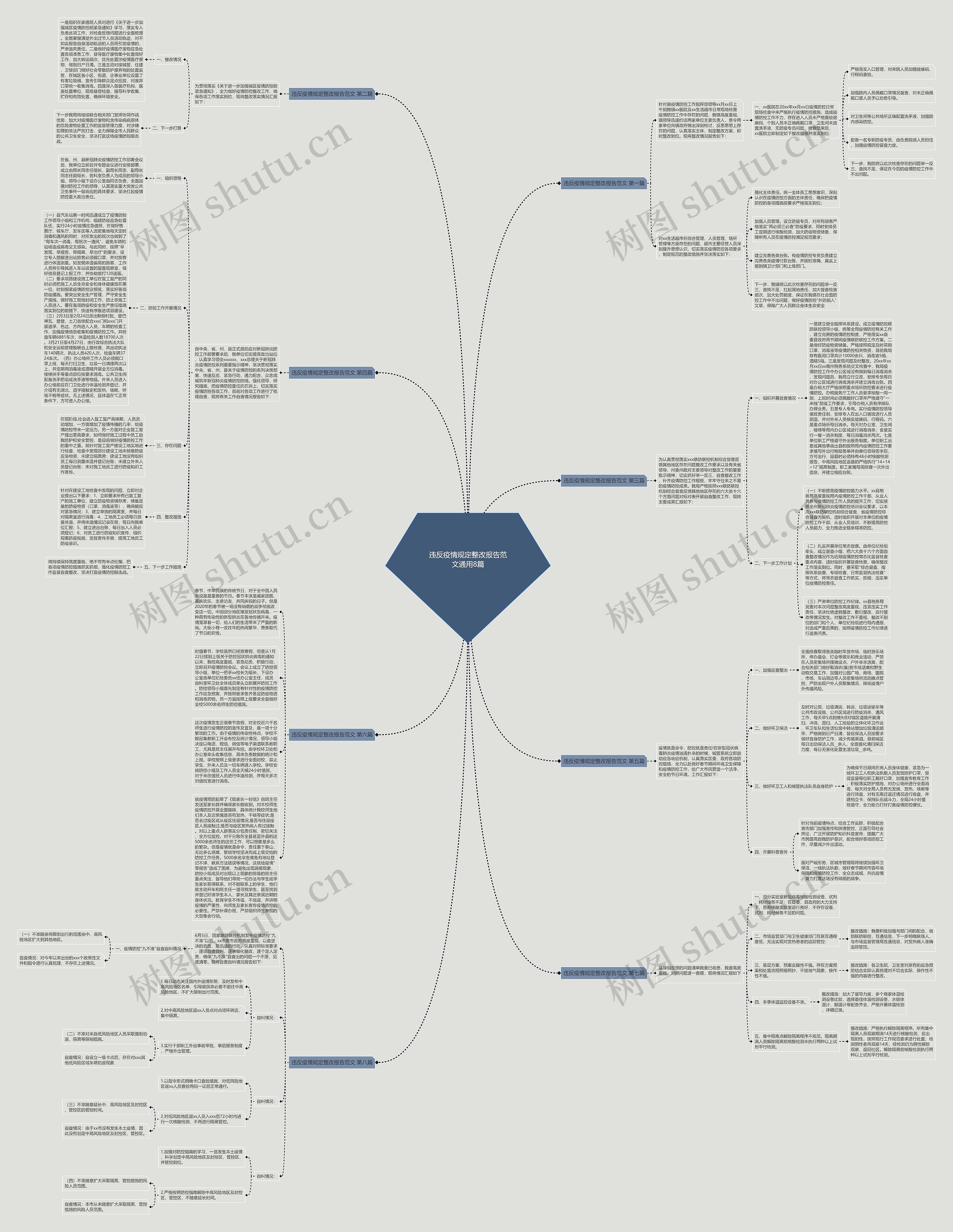 违反疫情规定整改报告范文通用8篇思维导图