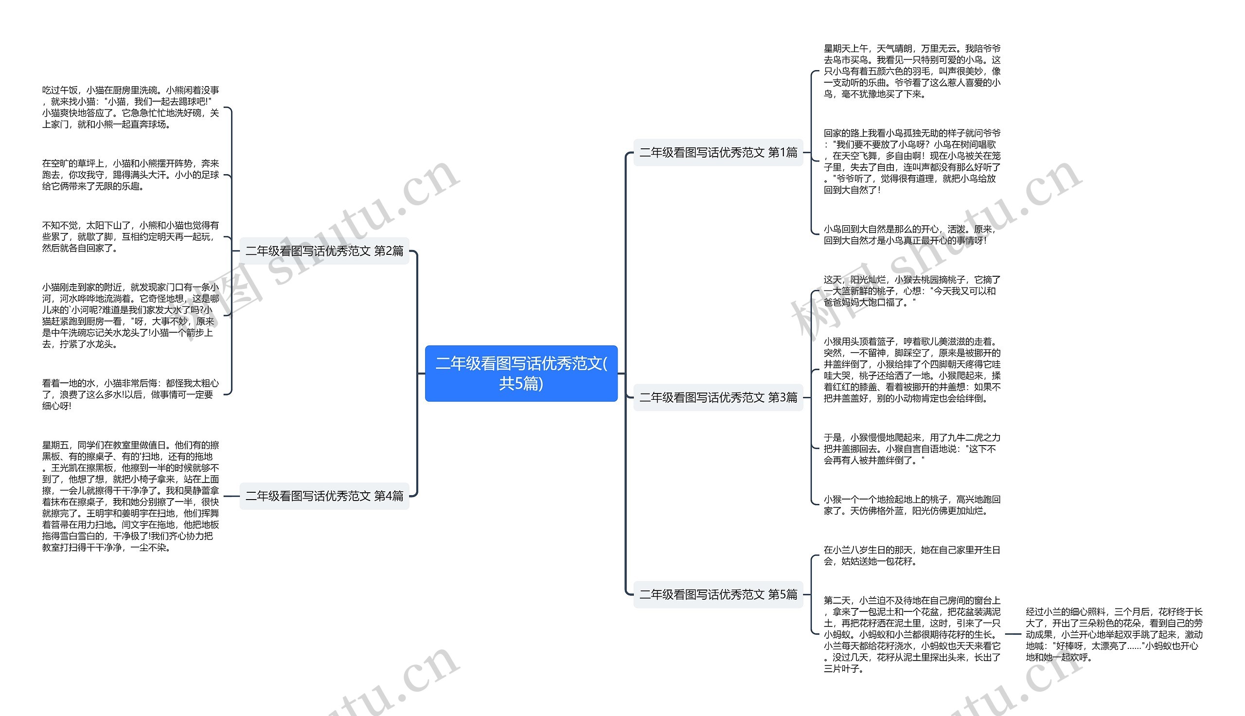 二年级看图写话优秀范文(共5篇)思维导图