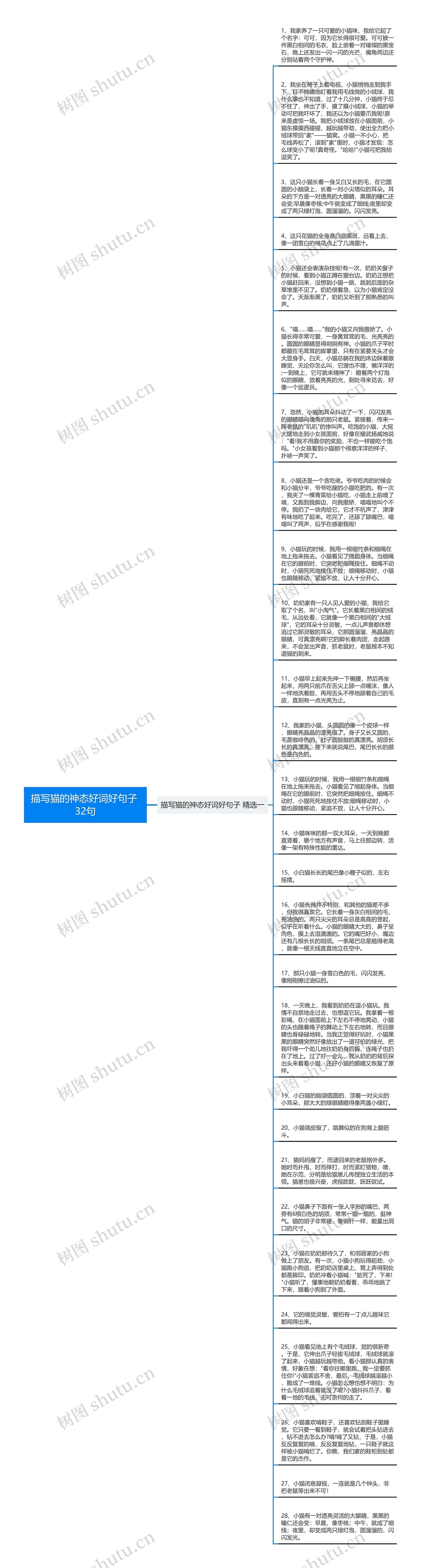 描写猫的神态好词好句子 32句思维导图