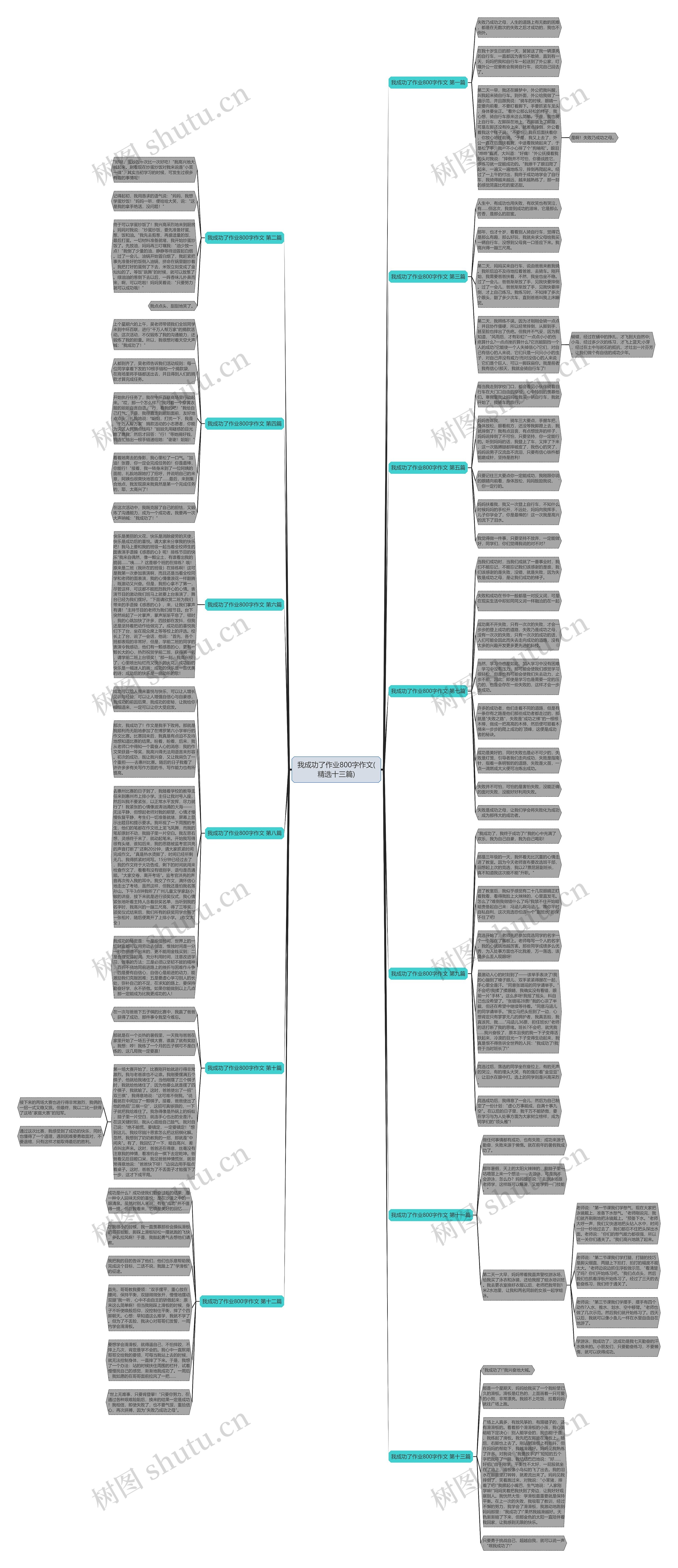 我成功了作业800字作文(精选十三篇)思维导图