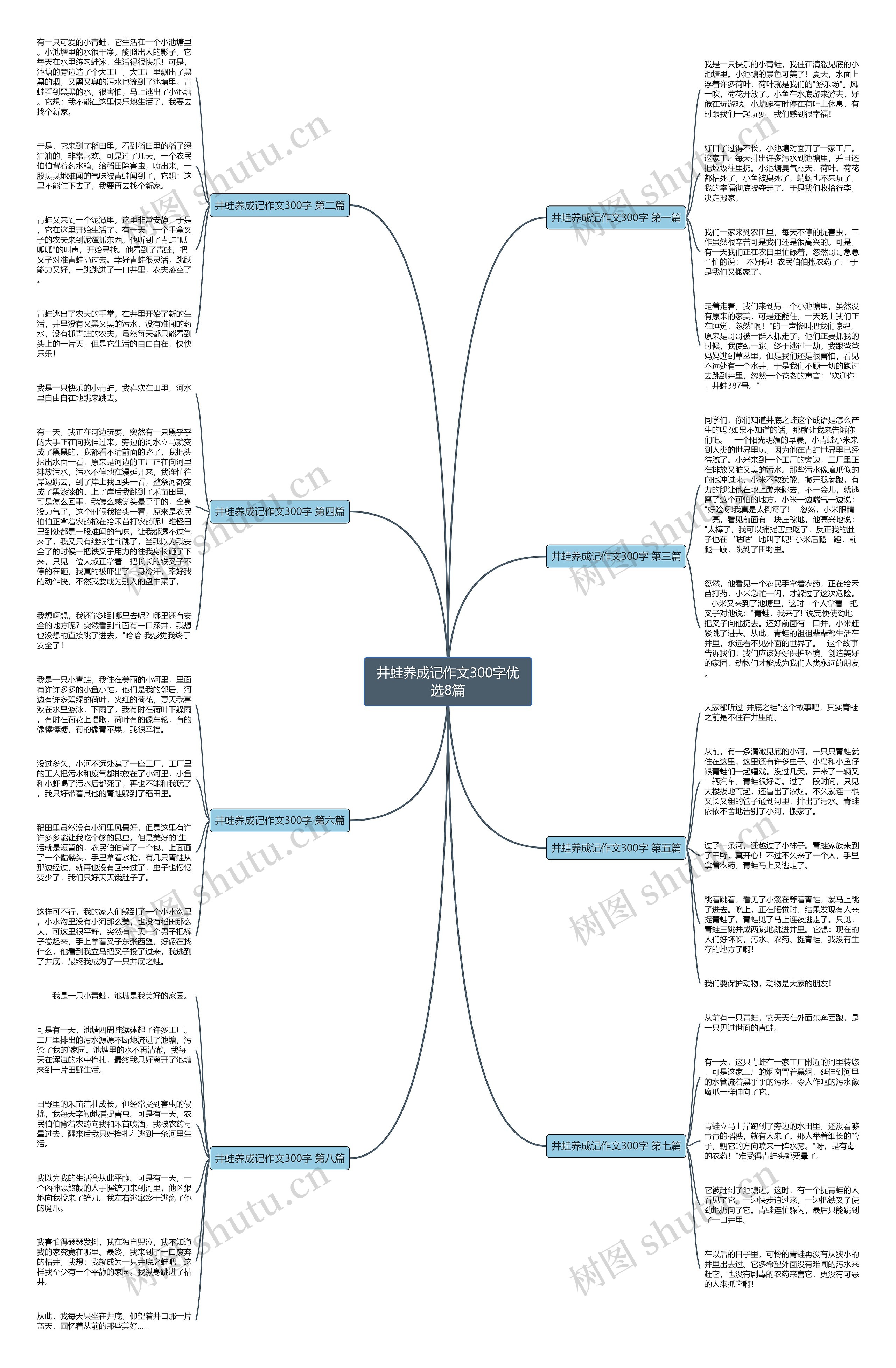 井蛙养成记作文300字优选8篇思维导图