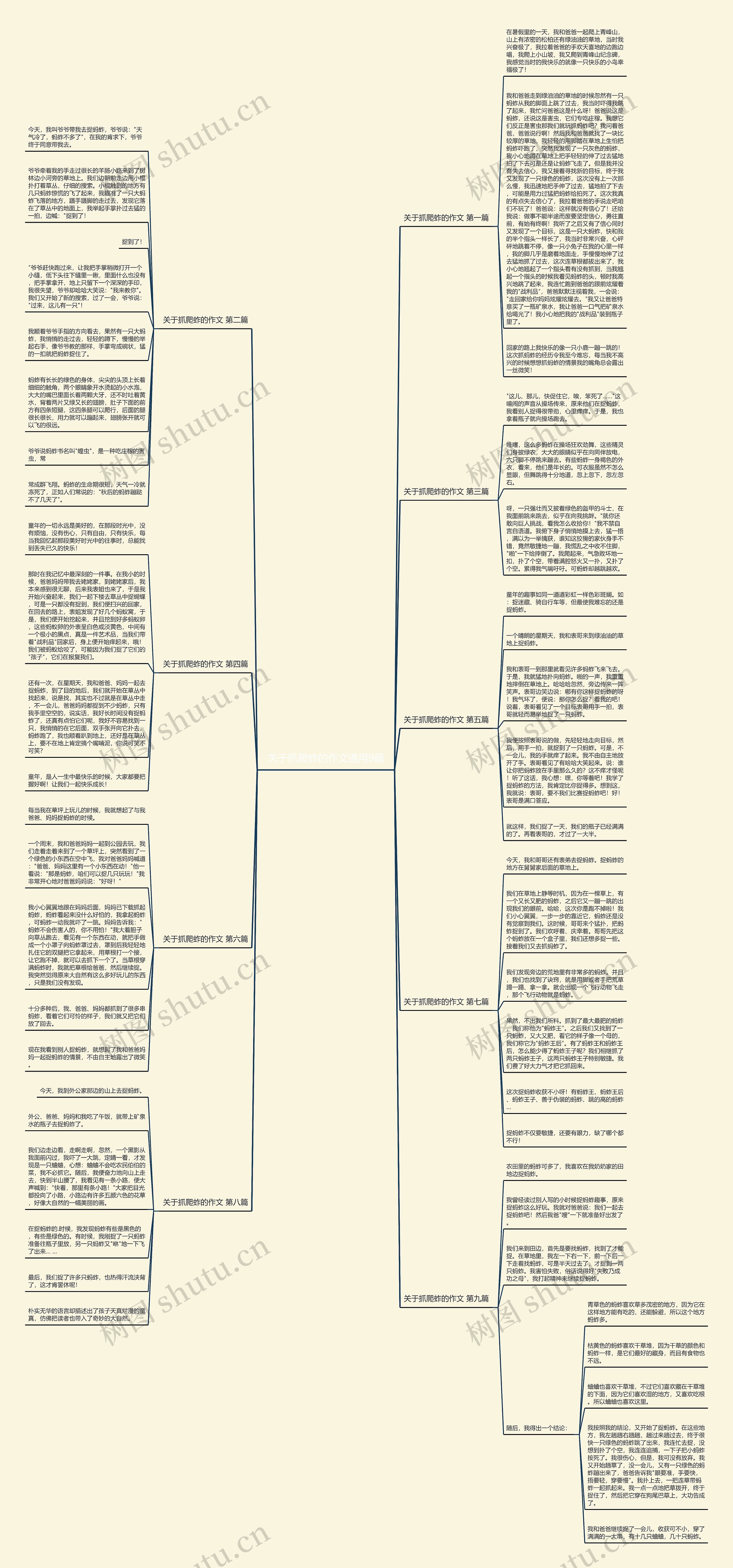 关于抓爬蚱的作文通用9篇思维导图