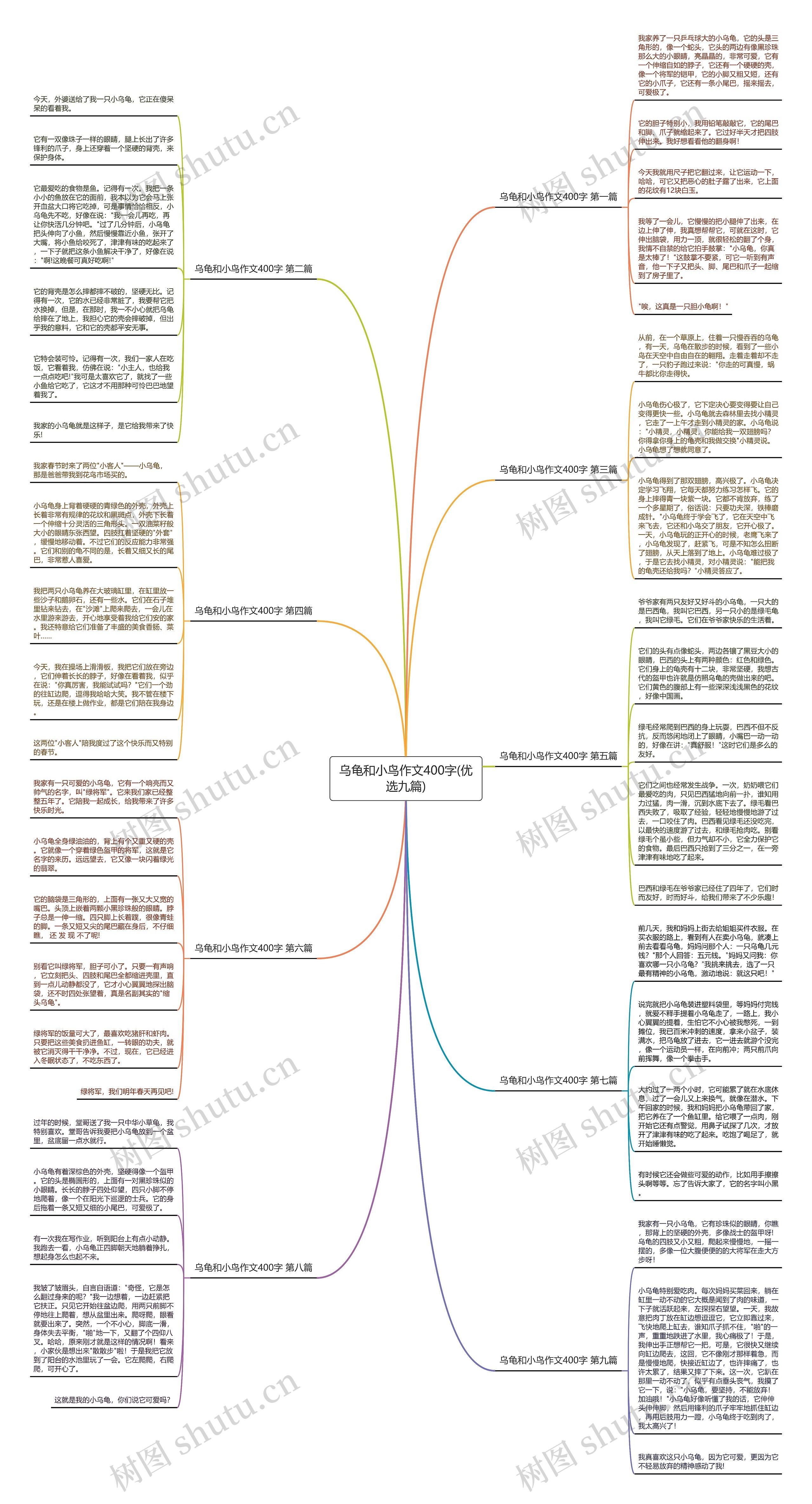 乌龟和小鸟作文400字(优选九篇)思维导图