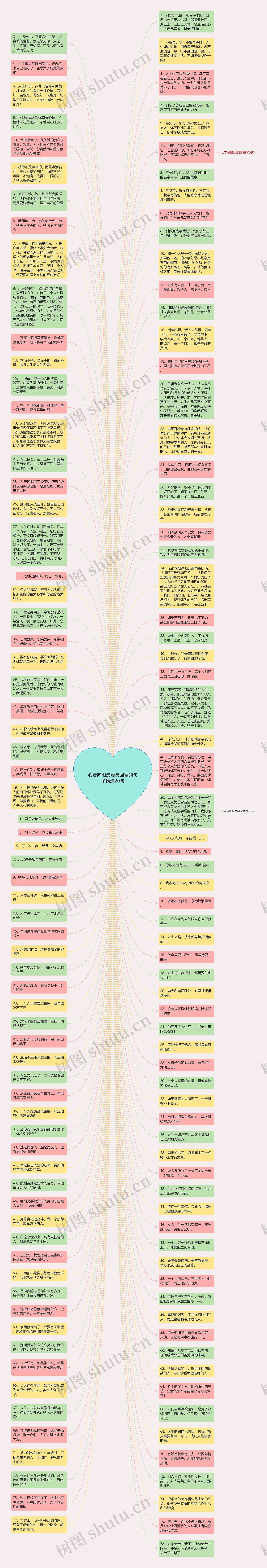 心若向阳最经典回复的句子精选20句思维导图