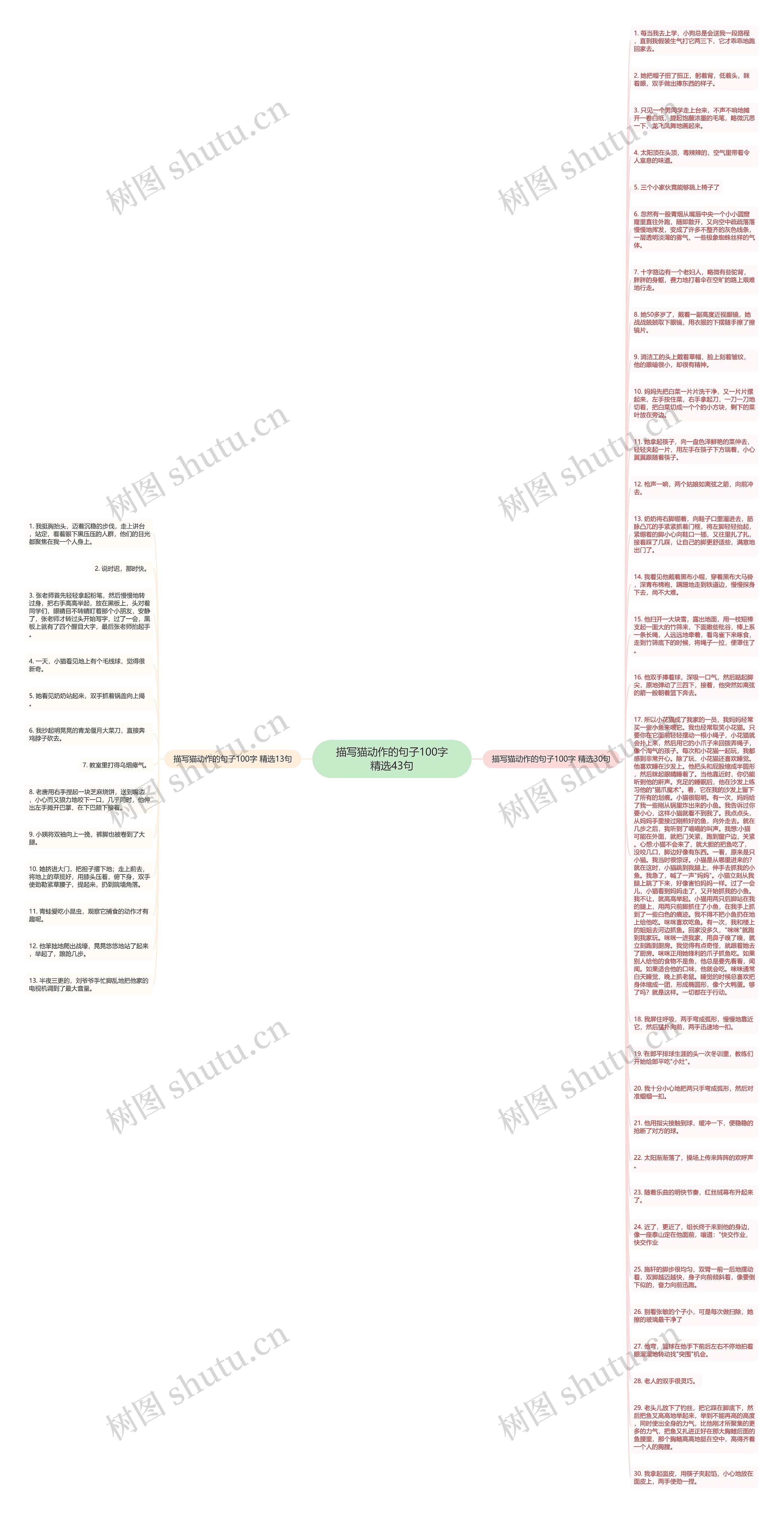 描写猫动作的句子100字精选43句思维导图