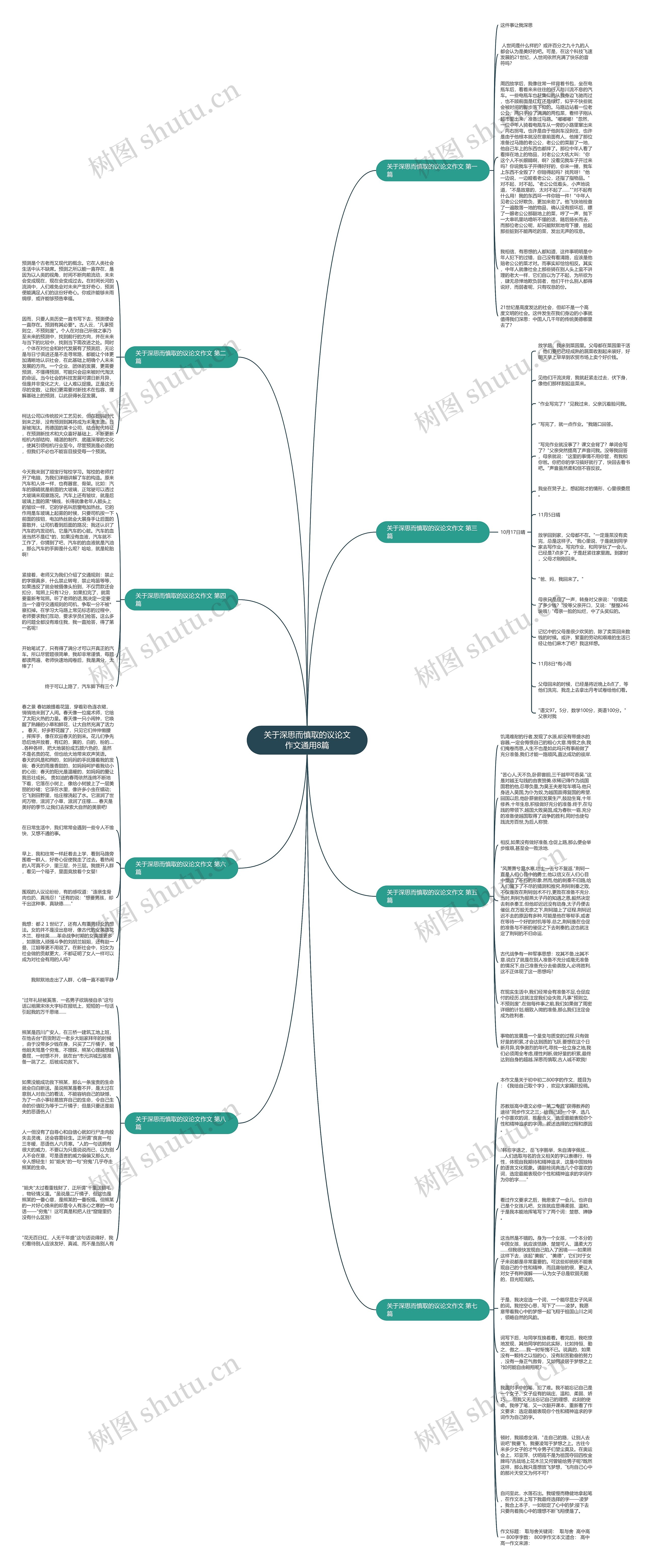 关于深思而慎取的议论文作文通用8篇思维导图