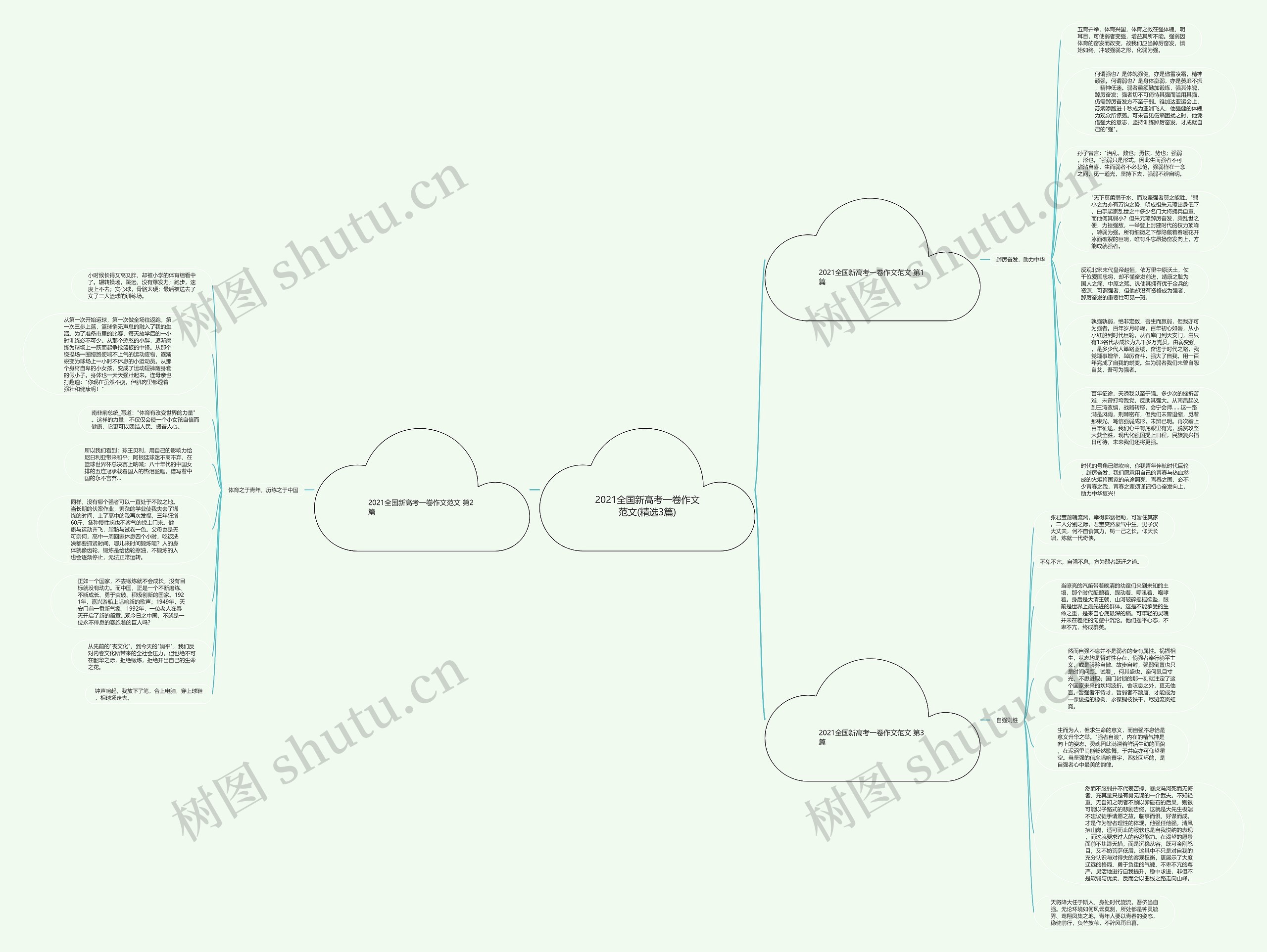 2021全国新高考一卷作文范文(精选3篇)思维导图