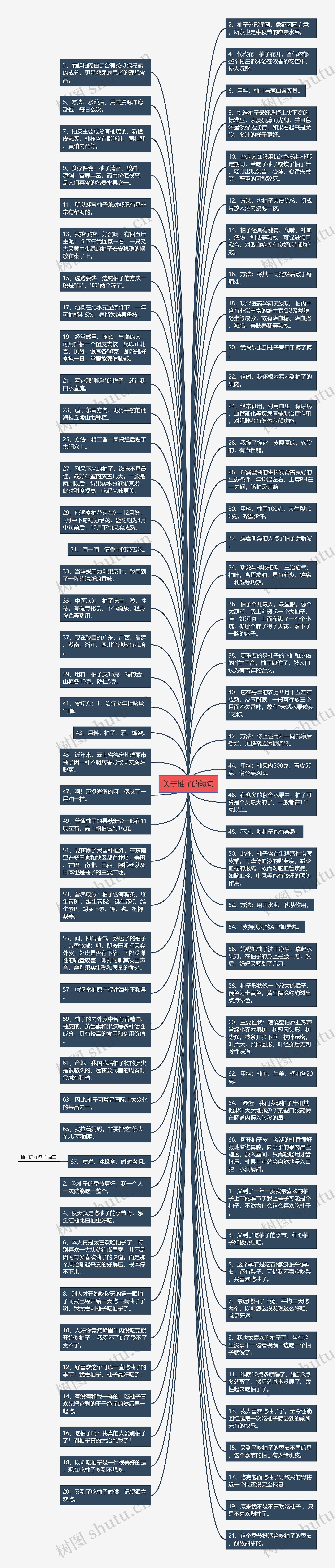 关于柚子的短句