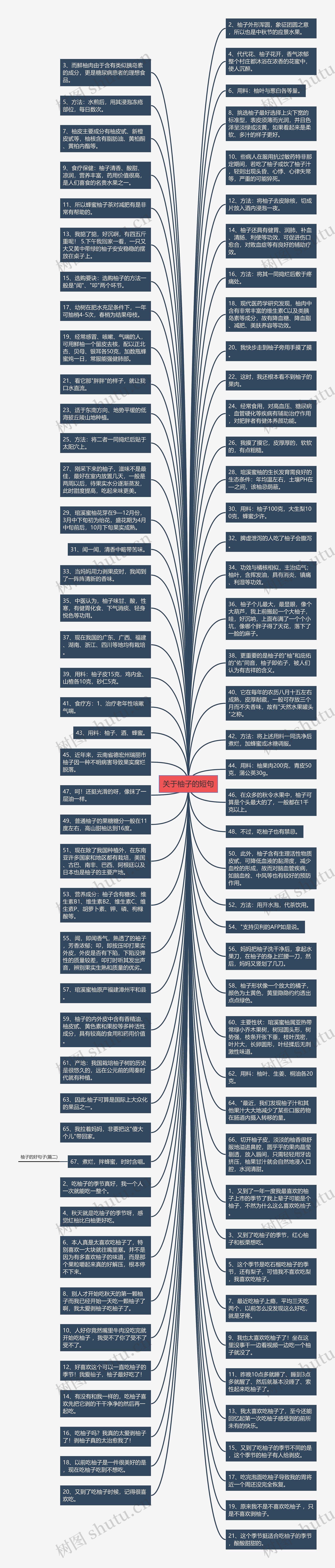 关于柚子的短句思维导图