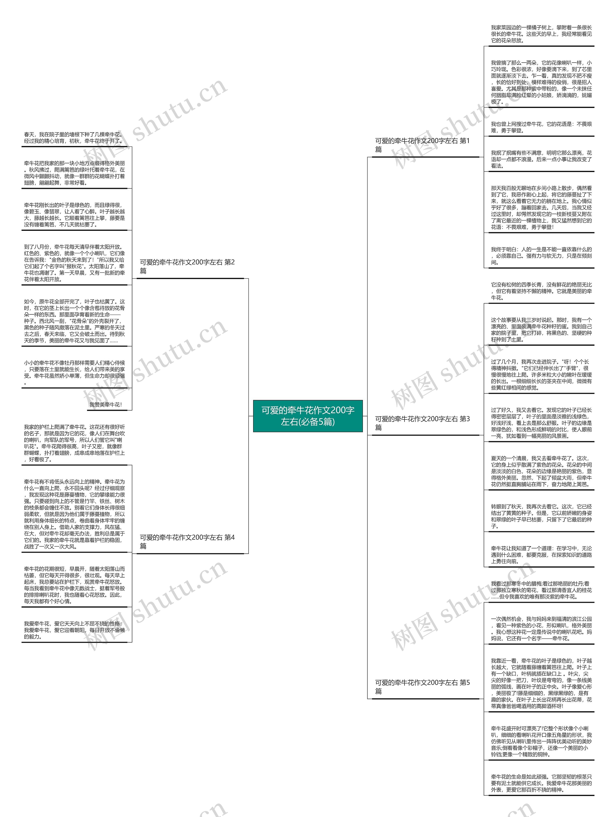 可爱的牵牛花作文200字左右(必备5篇)思维导图