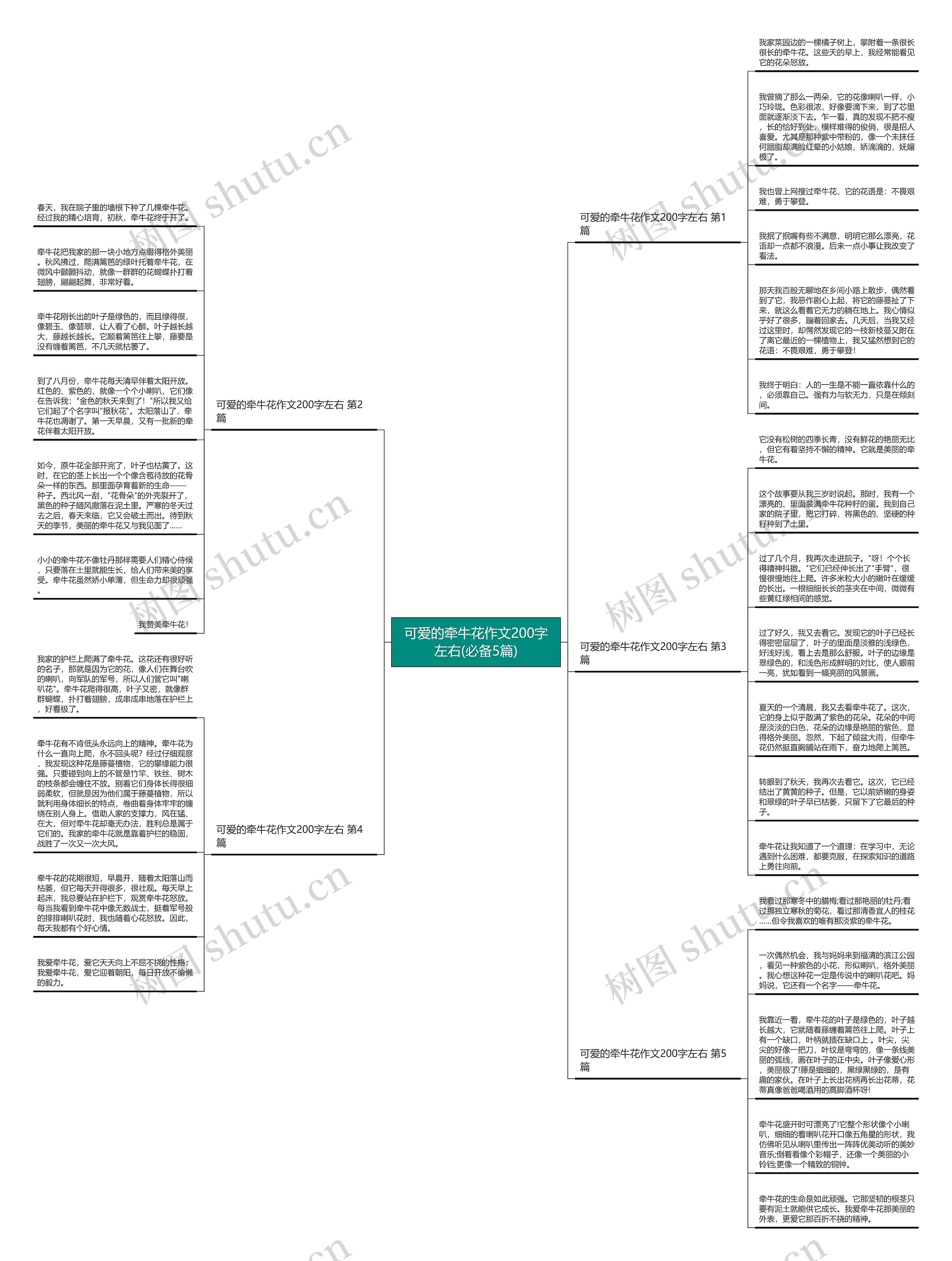 可爱的牵牛花作文200字左右(必备5篇) 可爱的牵牛花作文200字左右(必备5篇)