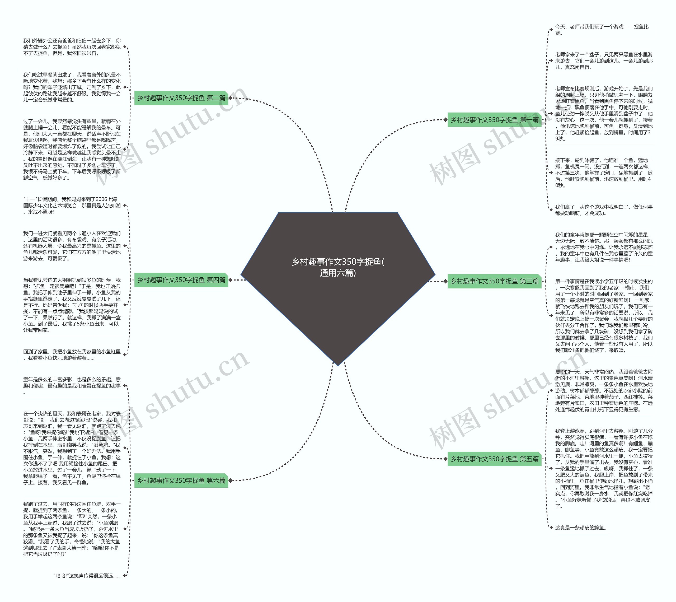 乡村趣事作文350字捉鱼(通用六篇)思维导图