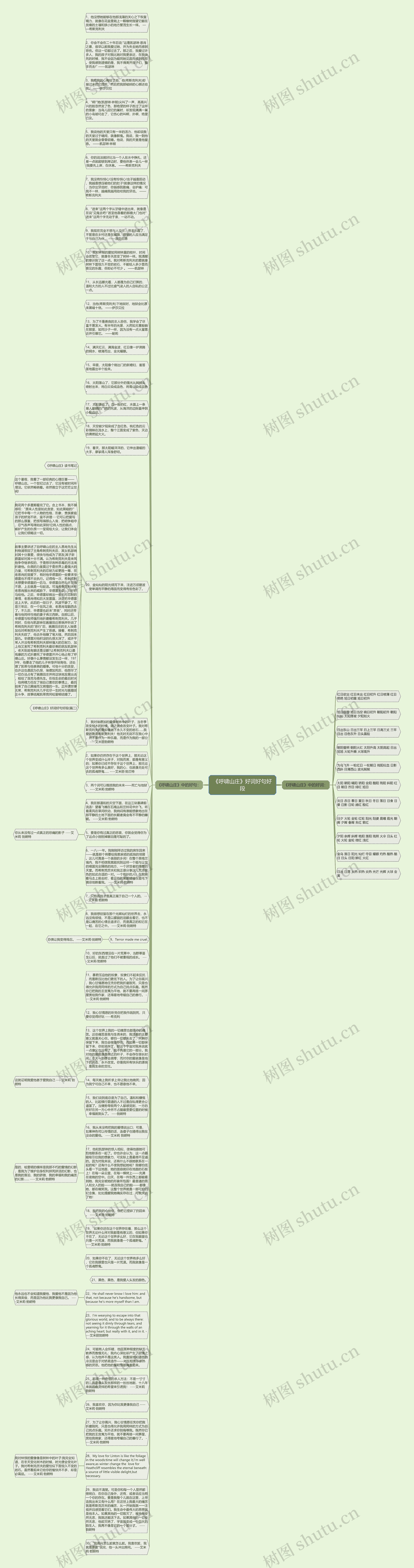《呼啸山庄》好词好句好段思维导图