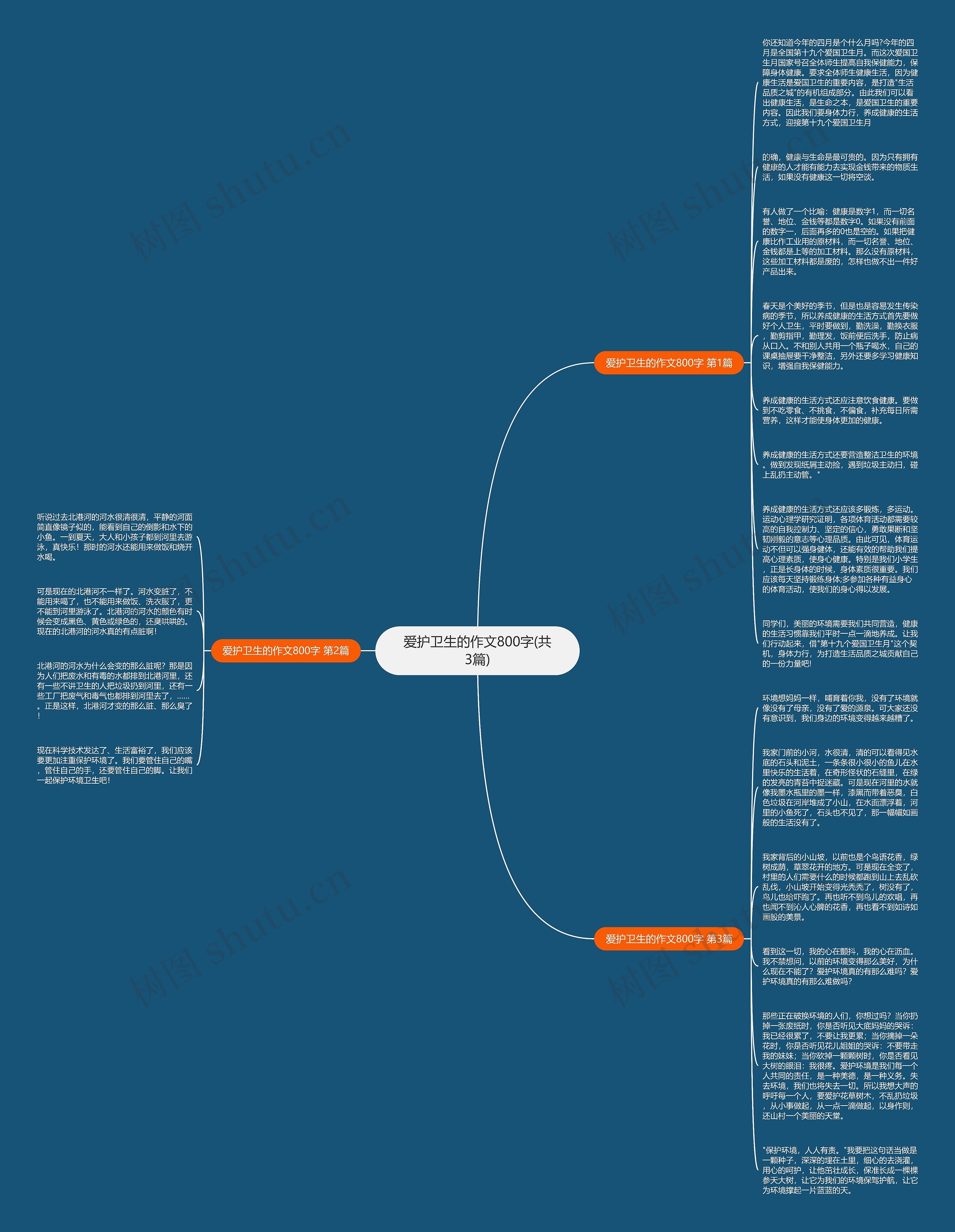 爱护卫生的作文800字(共3篇)思维导图