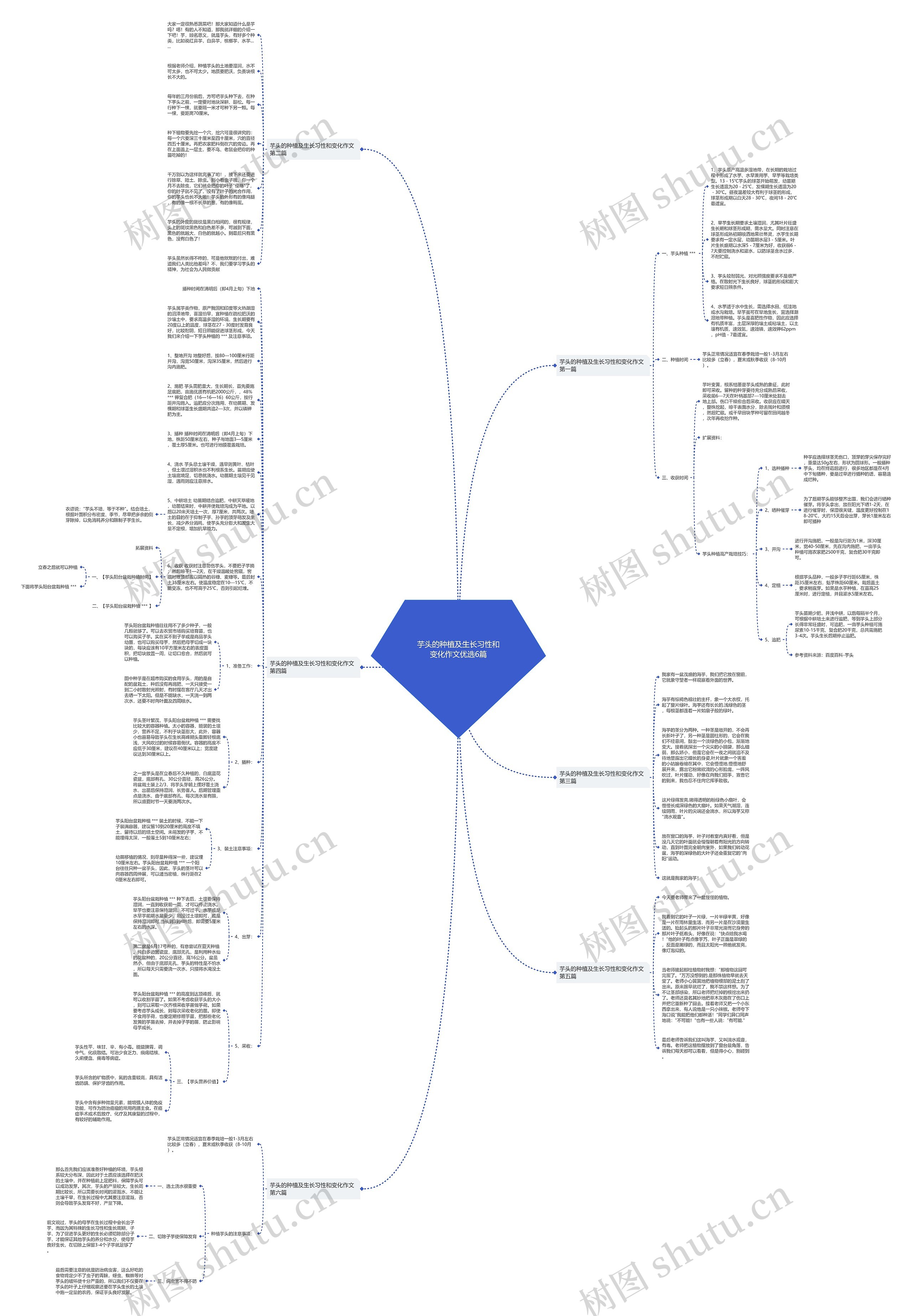 芋头的种植及生长习性和变化作文优选6篇思维导图