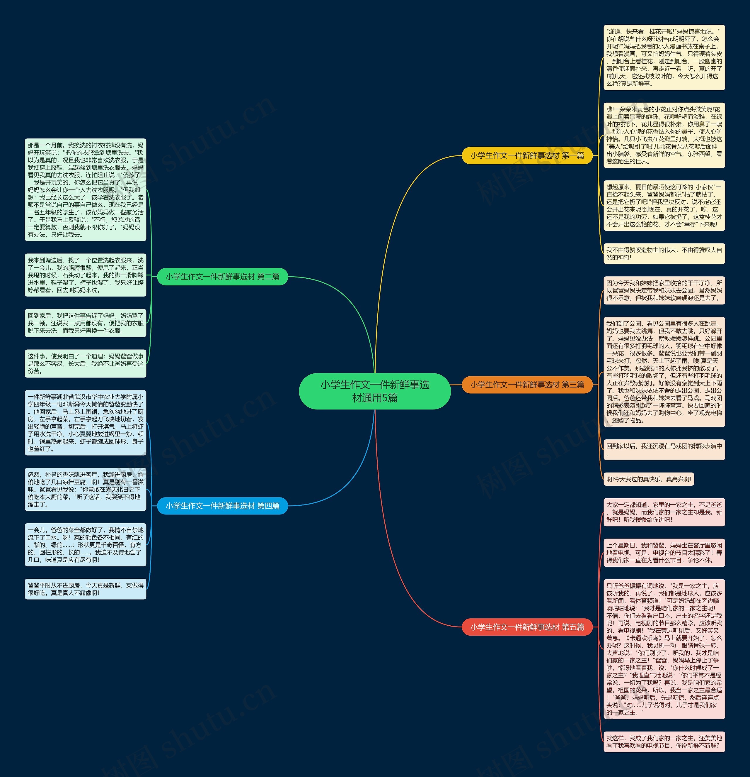 小学生作文一件新鲜事选材通用5篇思维导图