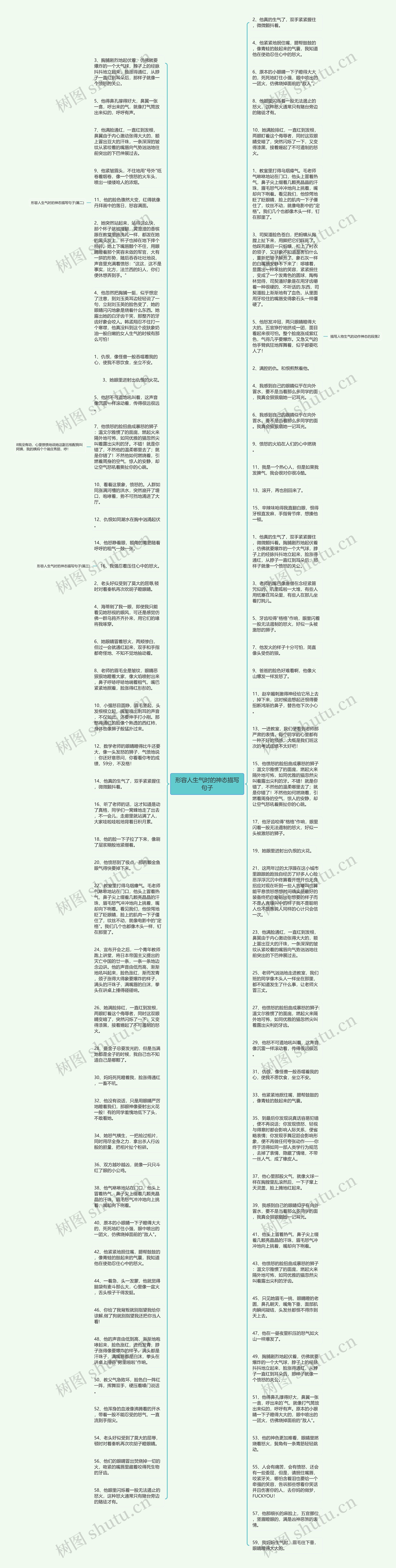 形容人生气时的神态描写句子思维导图