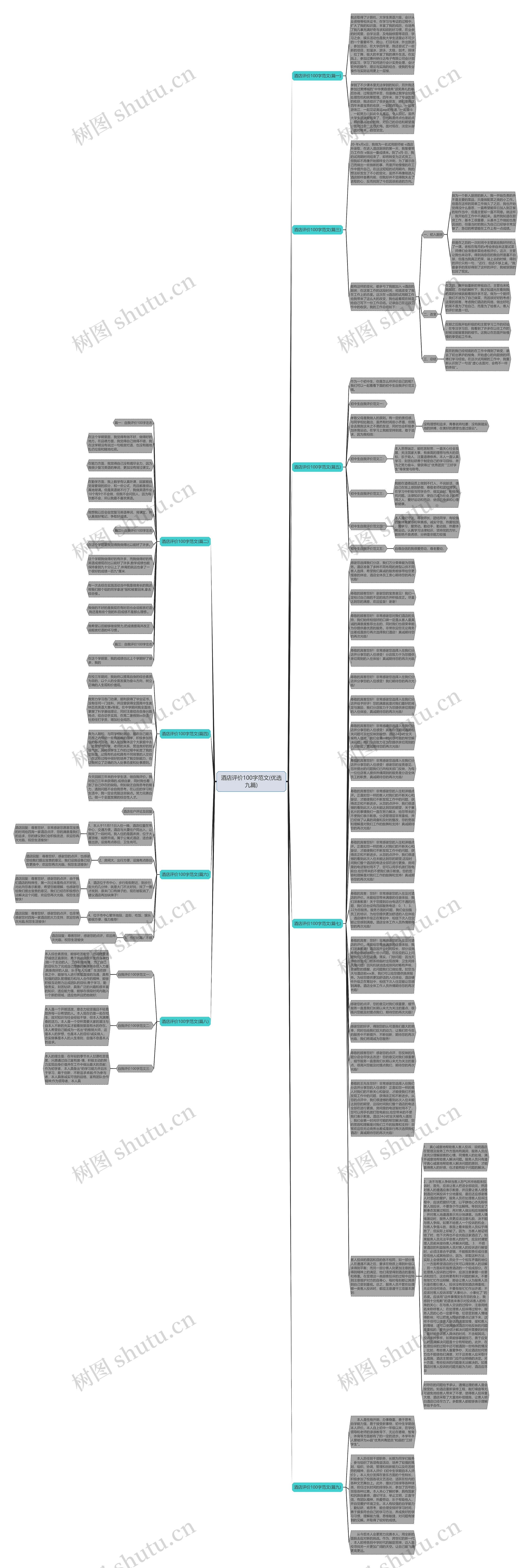 酒店评价100字范文(优选九篇)思维导图