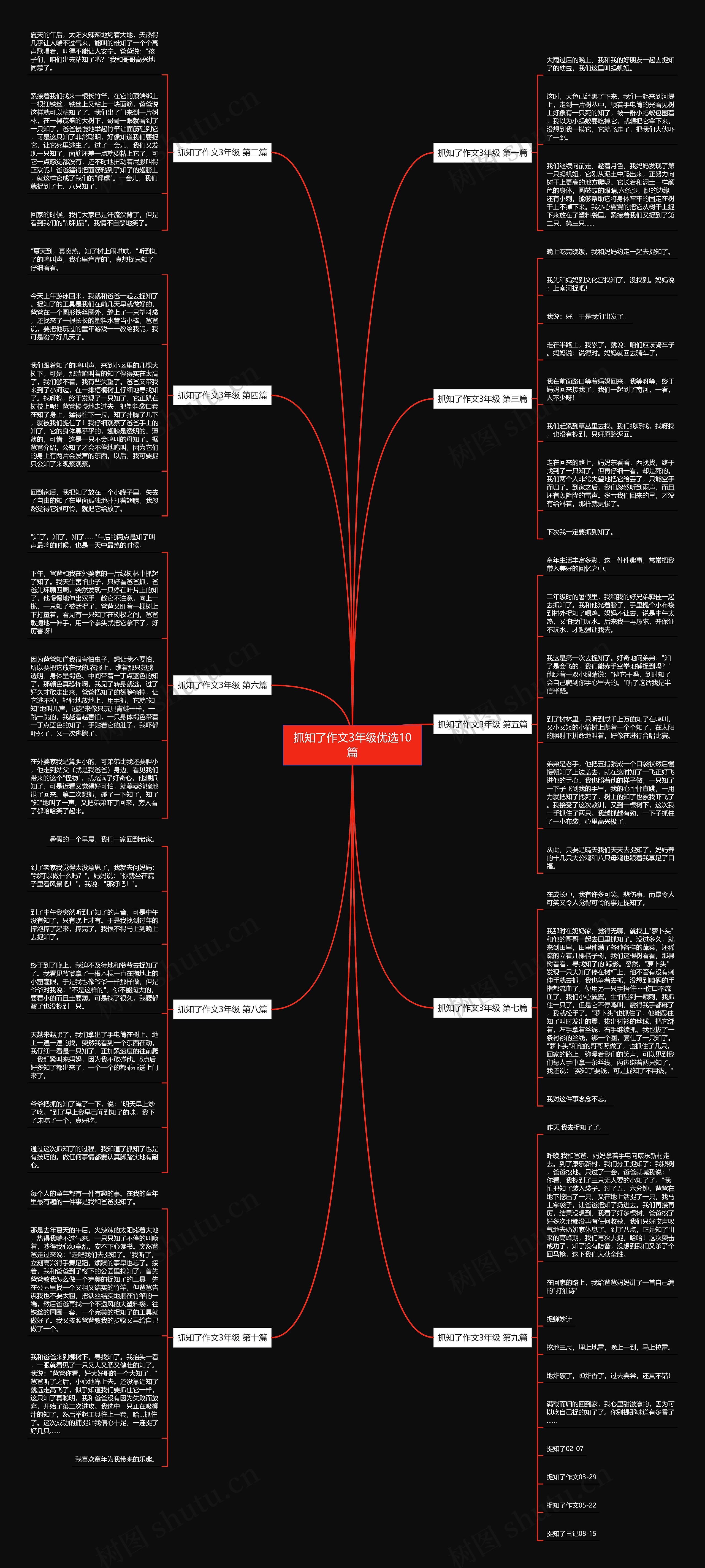 抓知了作文3年级优选10篇 抓知了作文3年级优选10篇