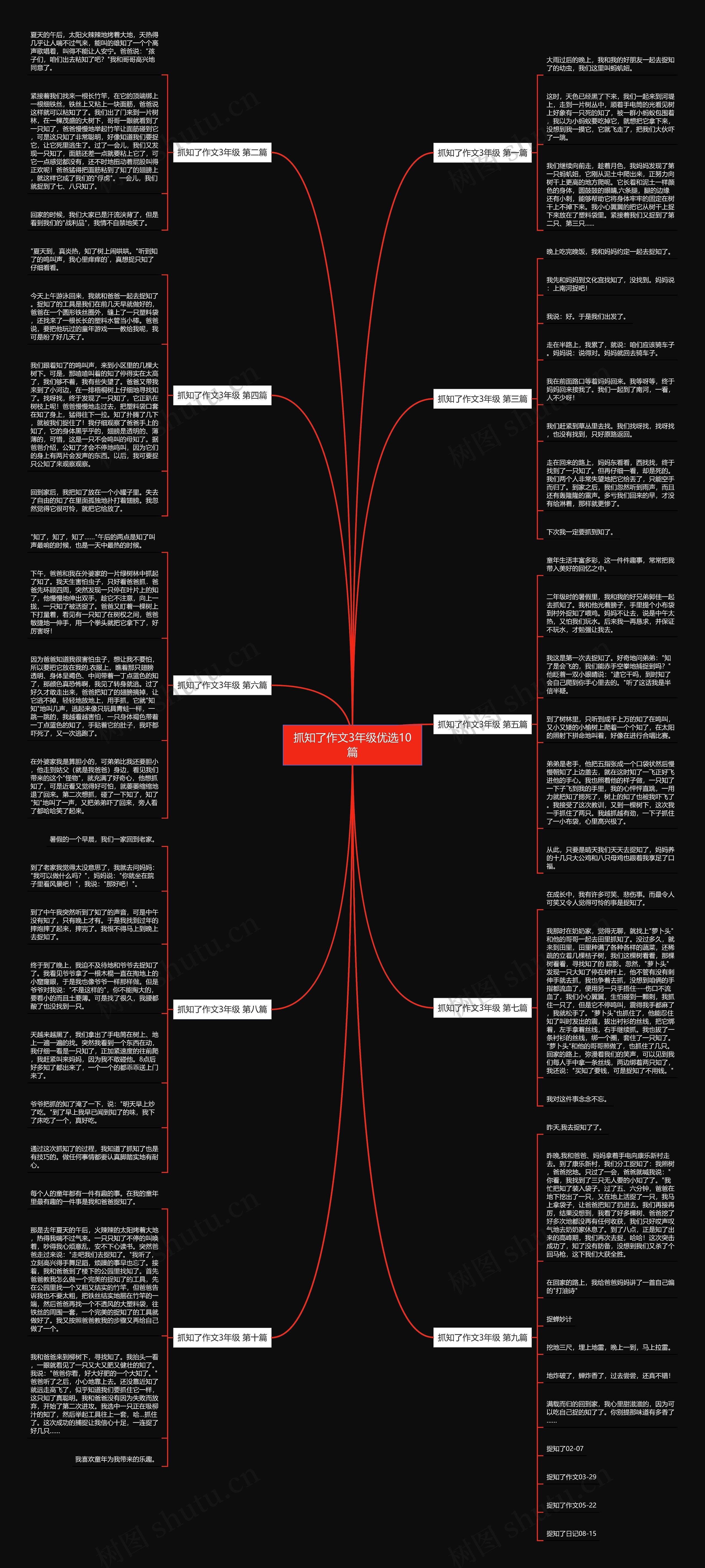 抓知了作文3年级优选10篇思维导图