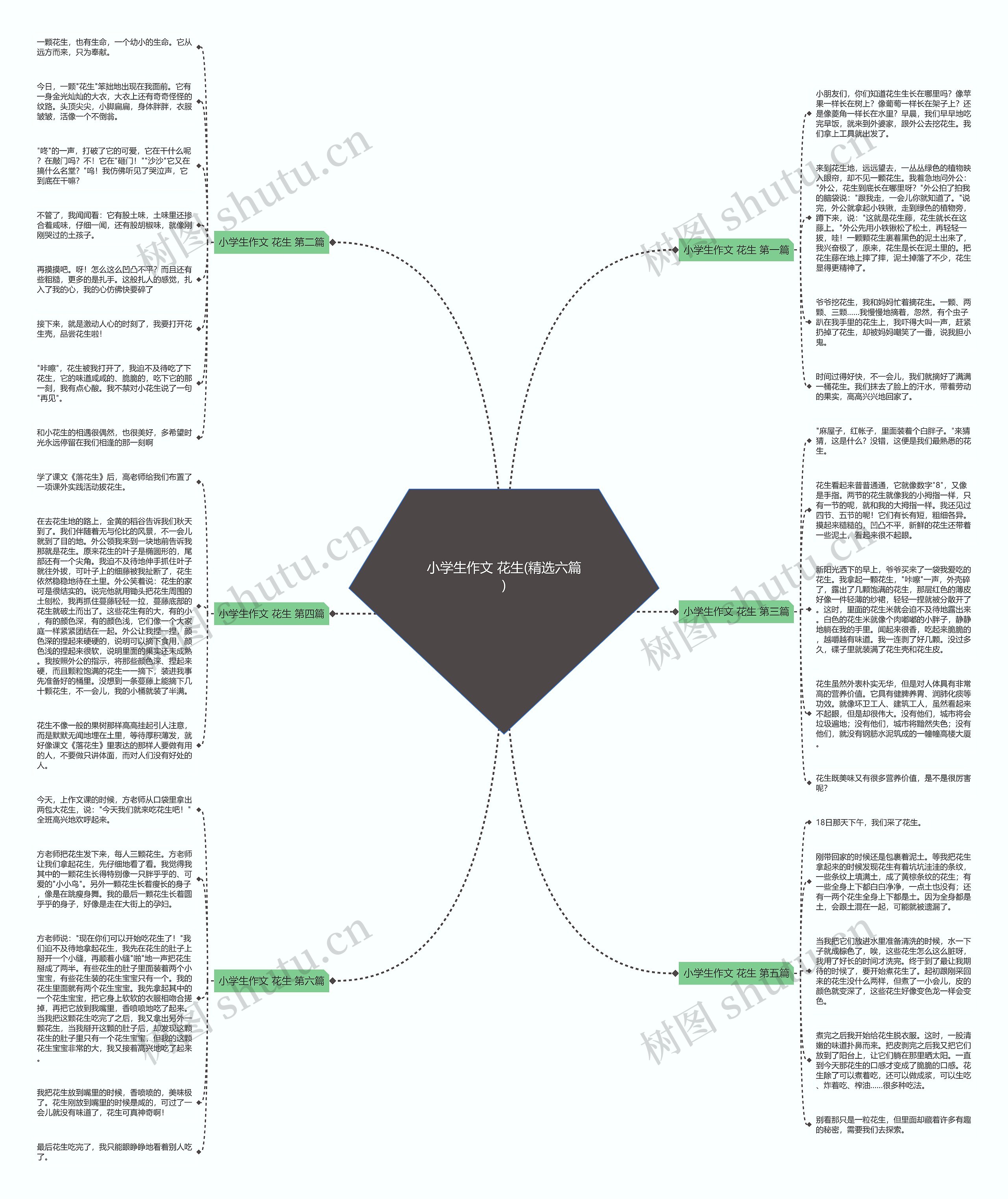 小学生作文 花生(精选六篇)思维导图