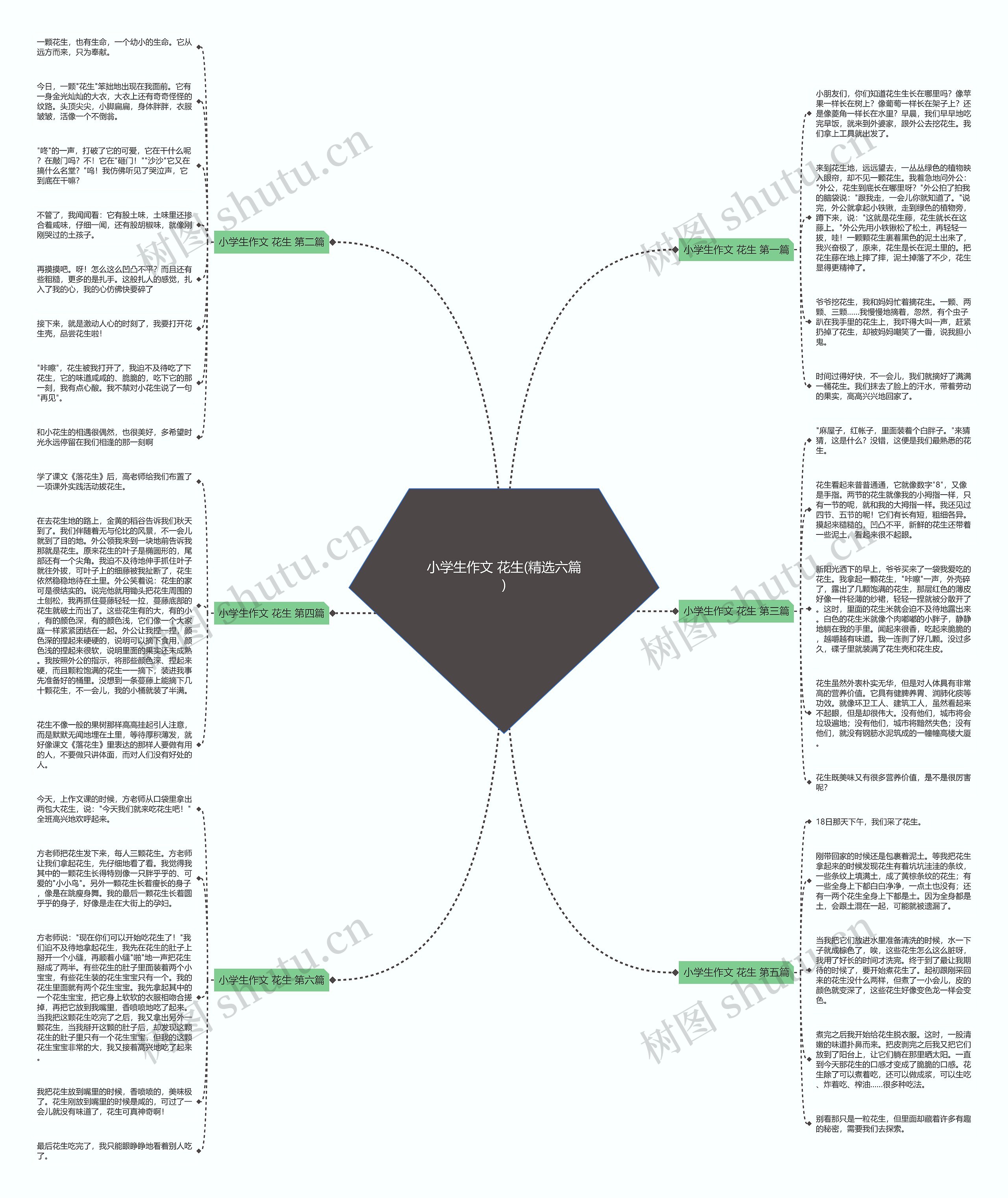 小学生作文 花生(精选六篇) 小学生作文 花生(精选六篇)