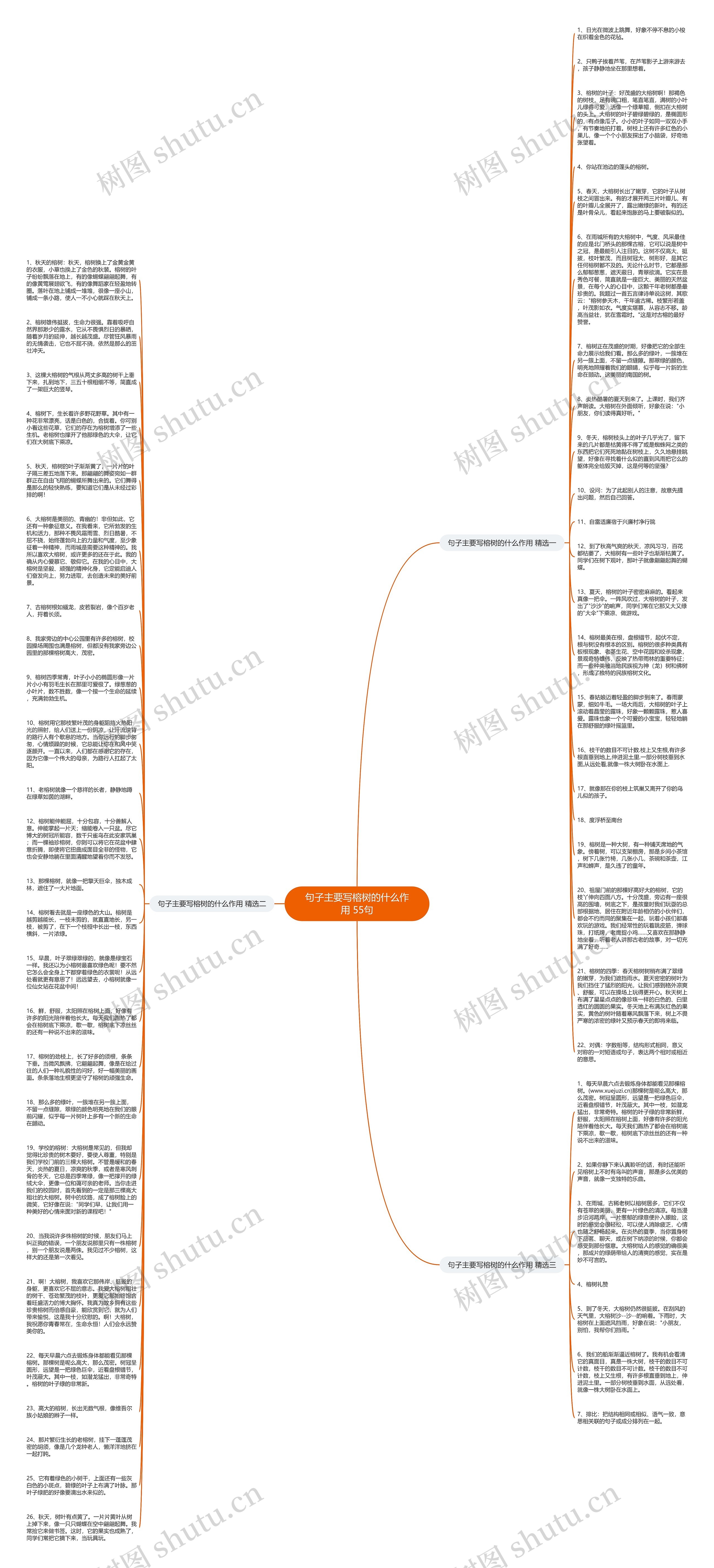 句子主要写榕树的什么作用 55句思维导图