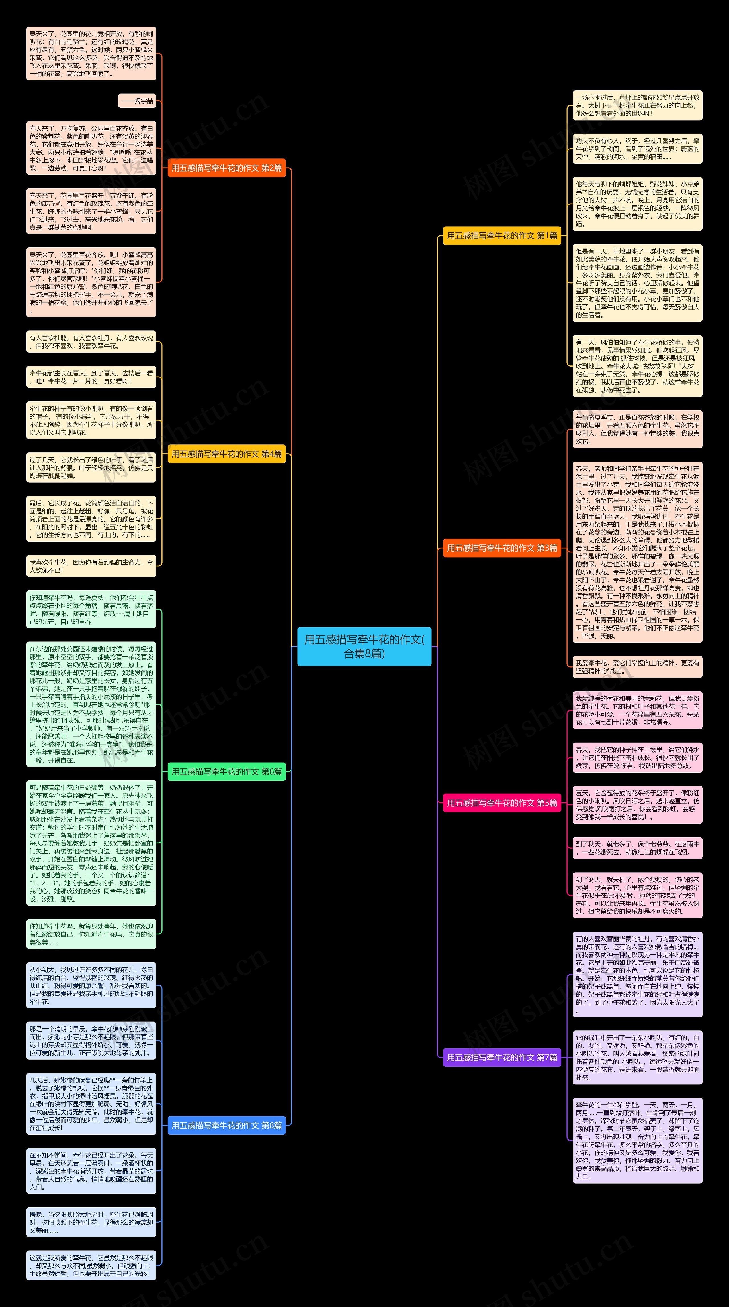 用五感描写牵牛花的作文(合集8篇)思维导图