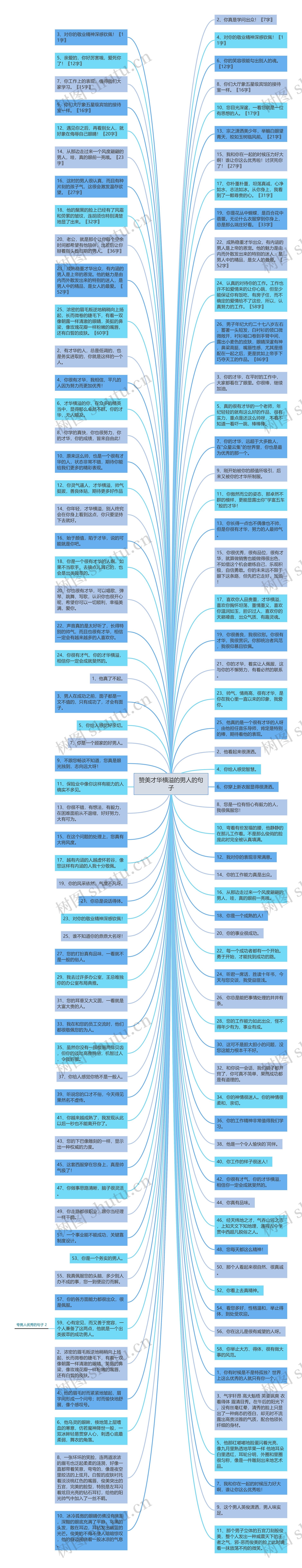 赞美才华横溢的男人的句子思维导图