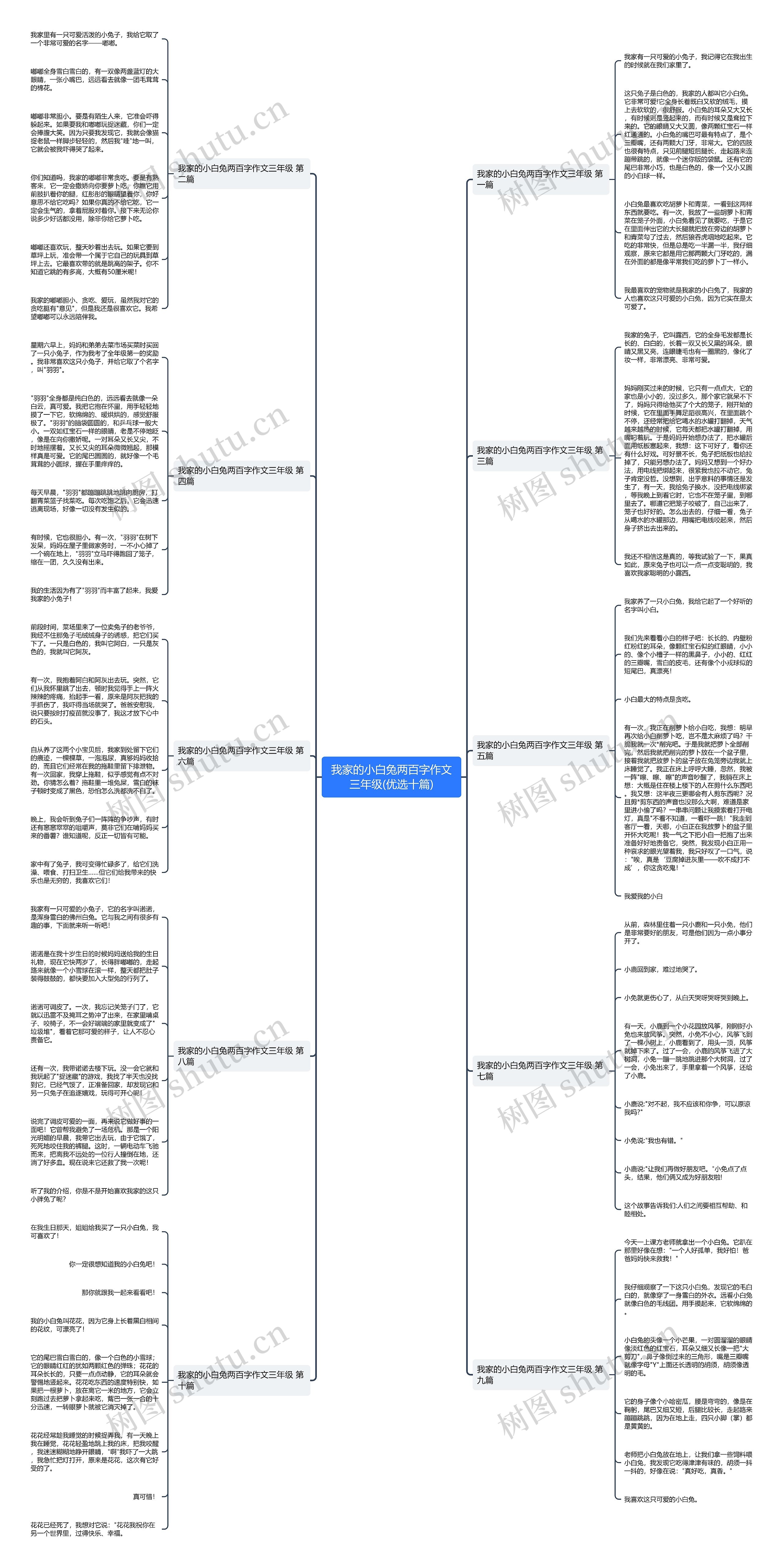 我家的小白兔两百字作文三年级(优选十篇) 我家的小白兔两百字作文三年级(优选十篇)