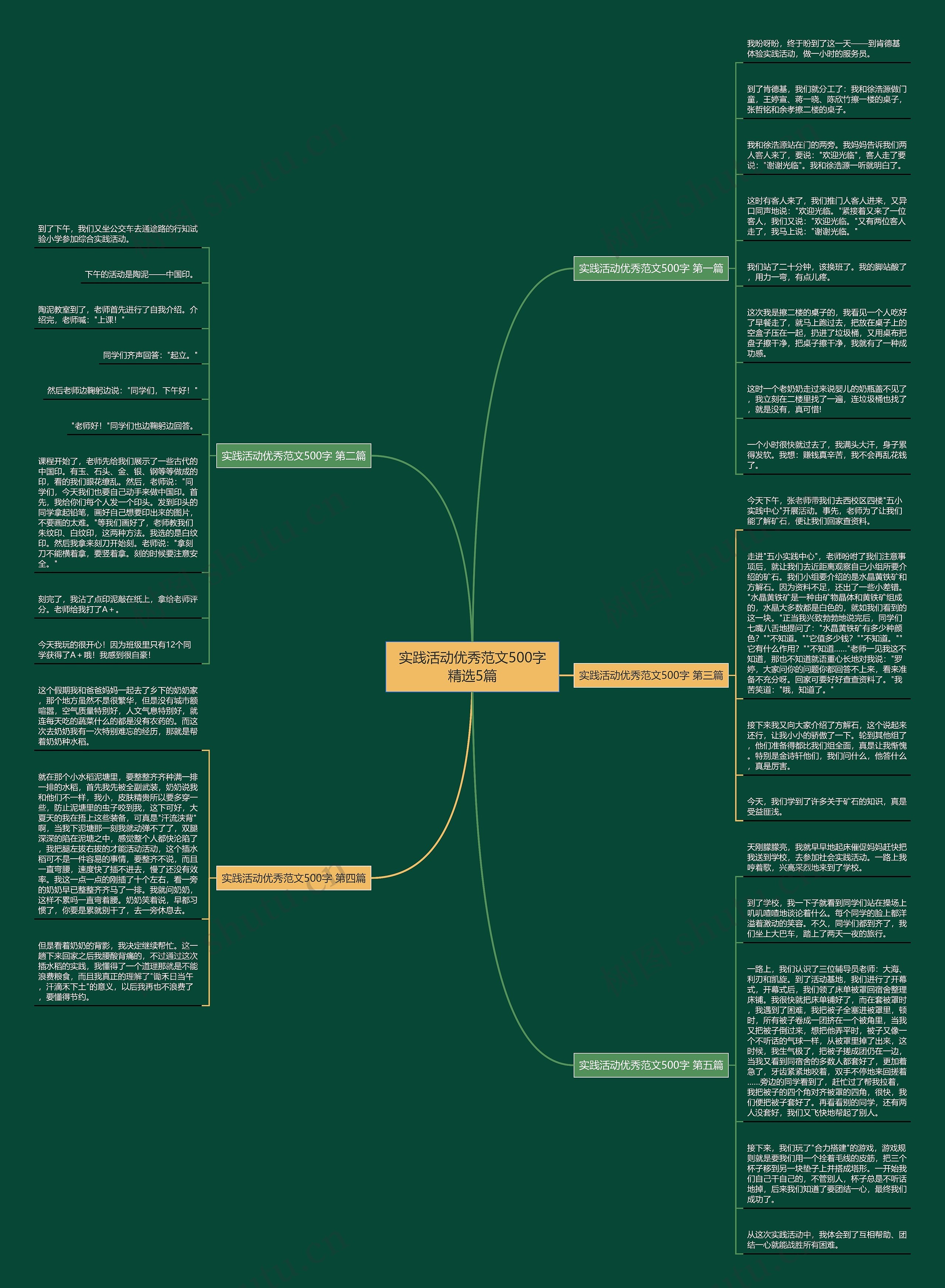实践活动优秀范文500字精选5篇思维导图