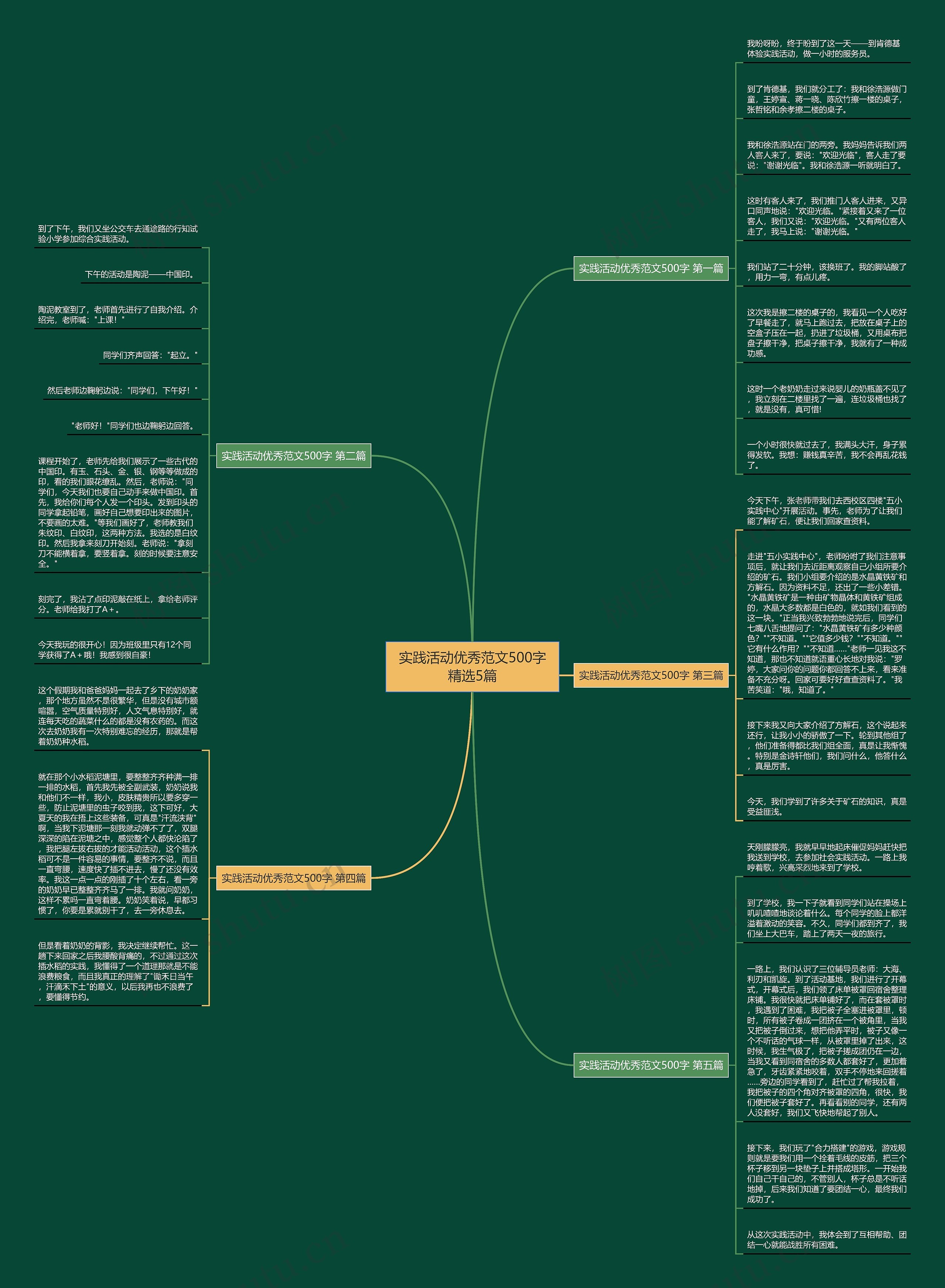 实践活动优秀范文500字精选5篇 实践活动优秀范文500字精选5篇
