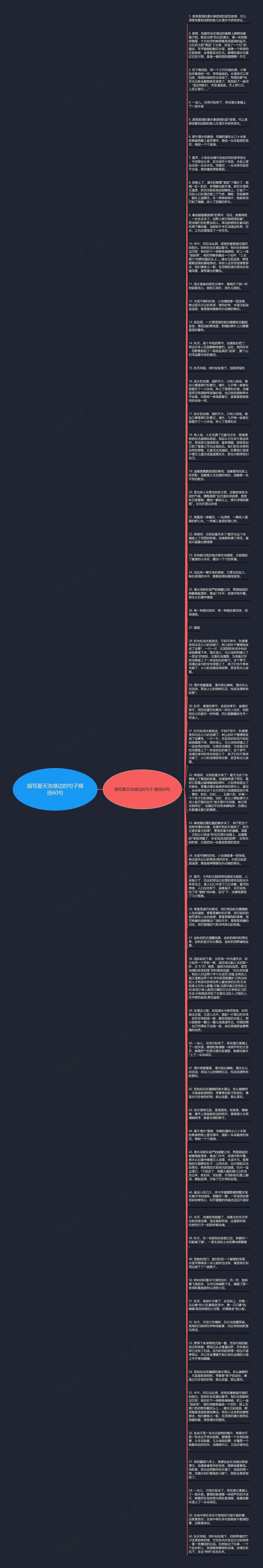 描写夏天池塘边的句子精选60句思维导图