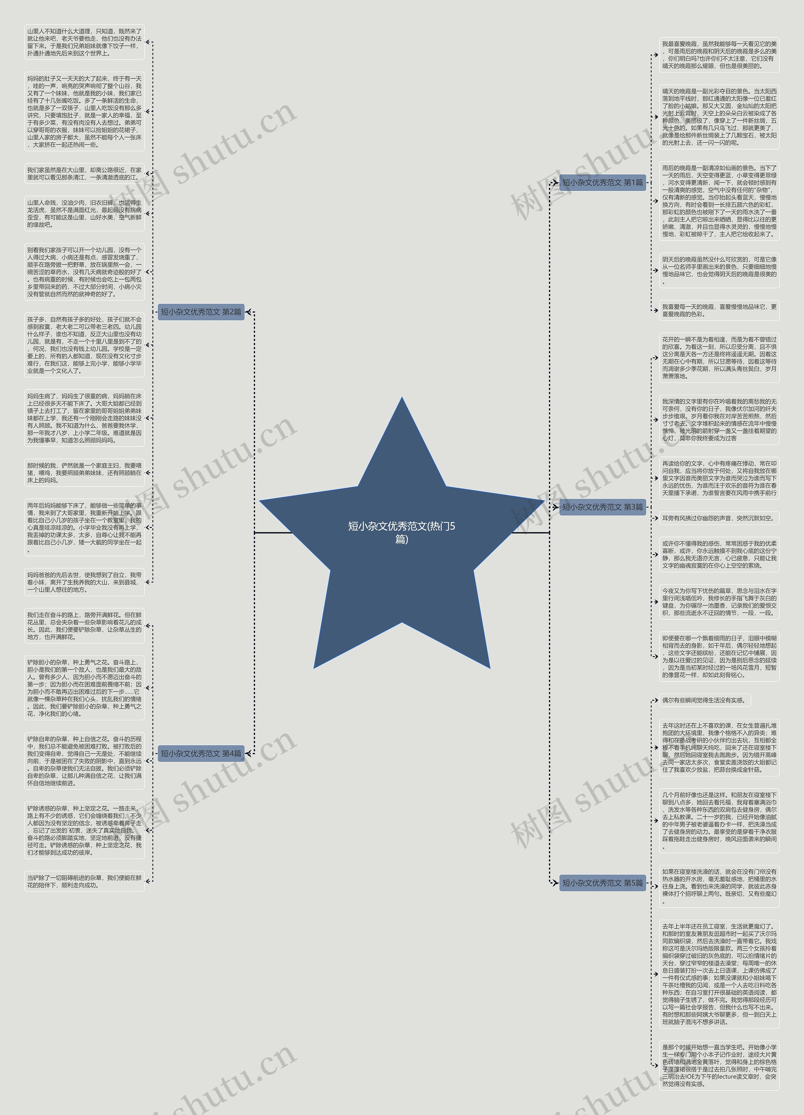 短小杂文优秀范文(热门5篇)思维导图