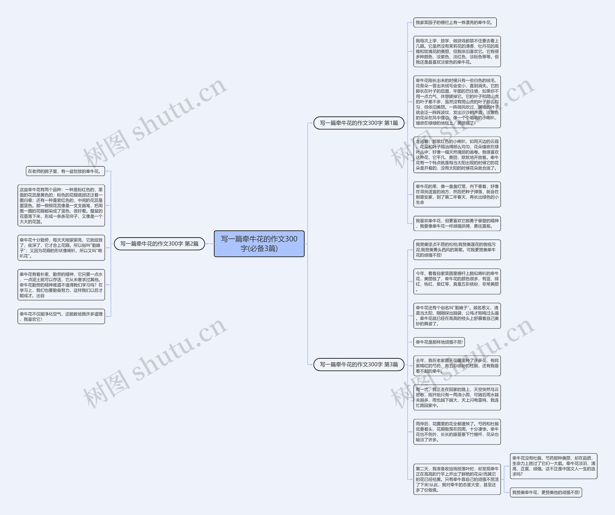 写一篇牵牛花的作文300字(必备3篇) 写一篇牵牛花的作文300字(必备3篇)